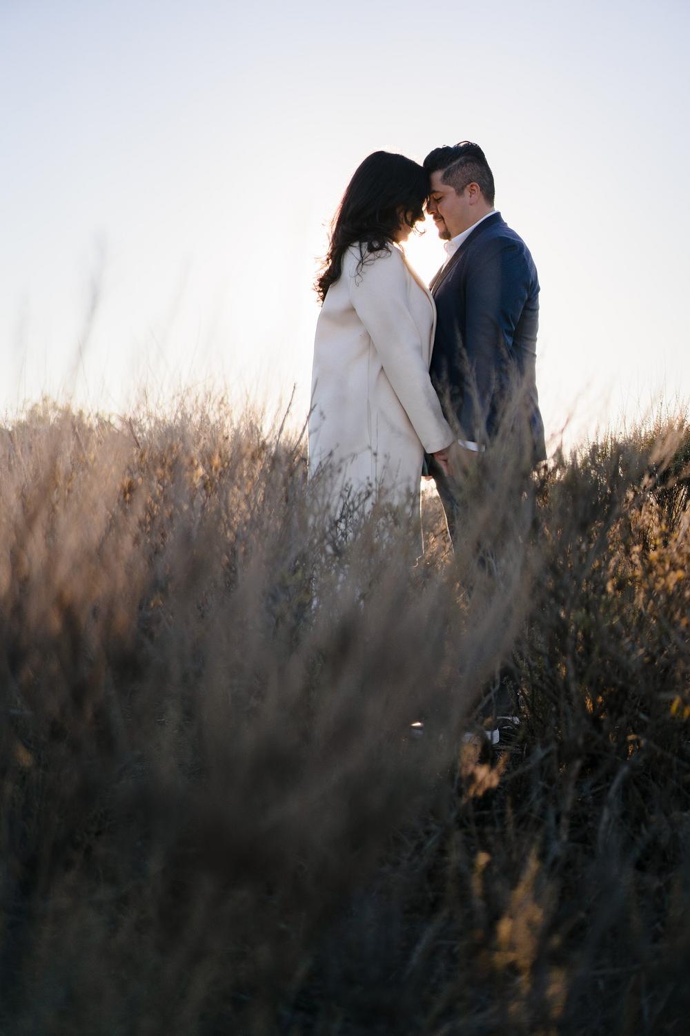 David & Cassie's Engagement