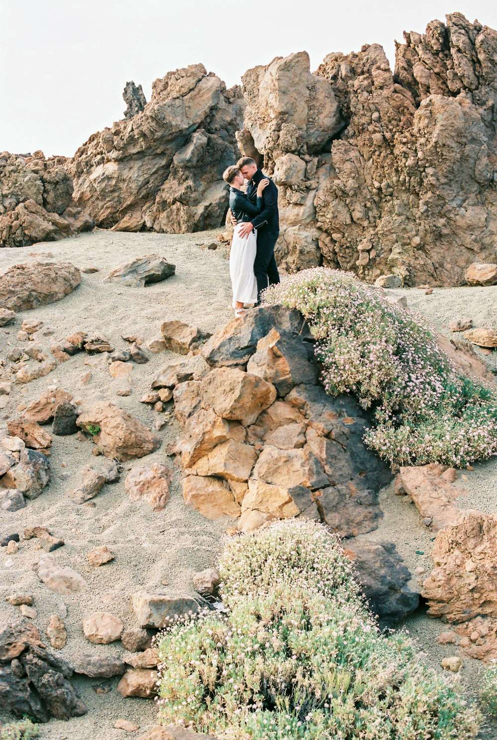 Flowers of Desert