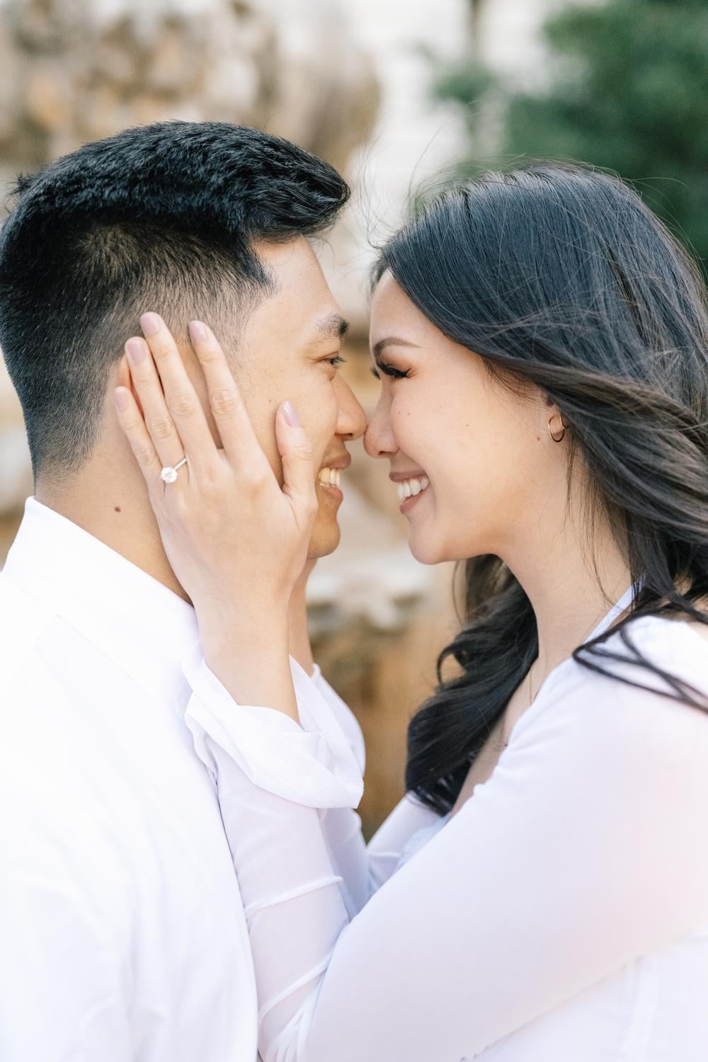 Eva & Alvin's Engagement