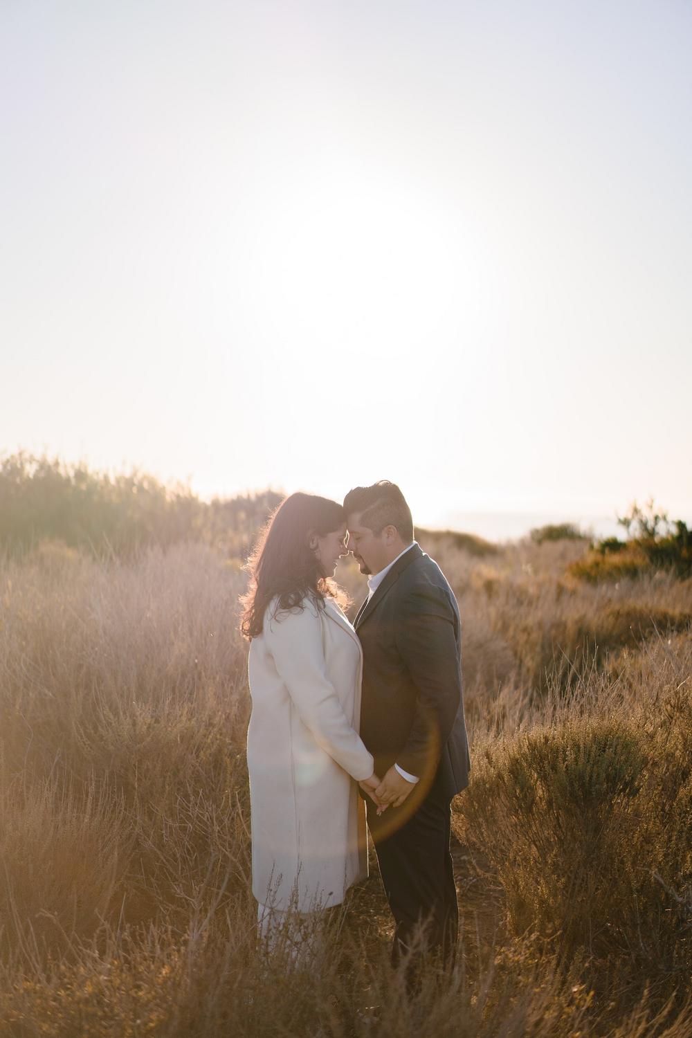 David & Cassie's Engagement