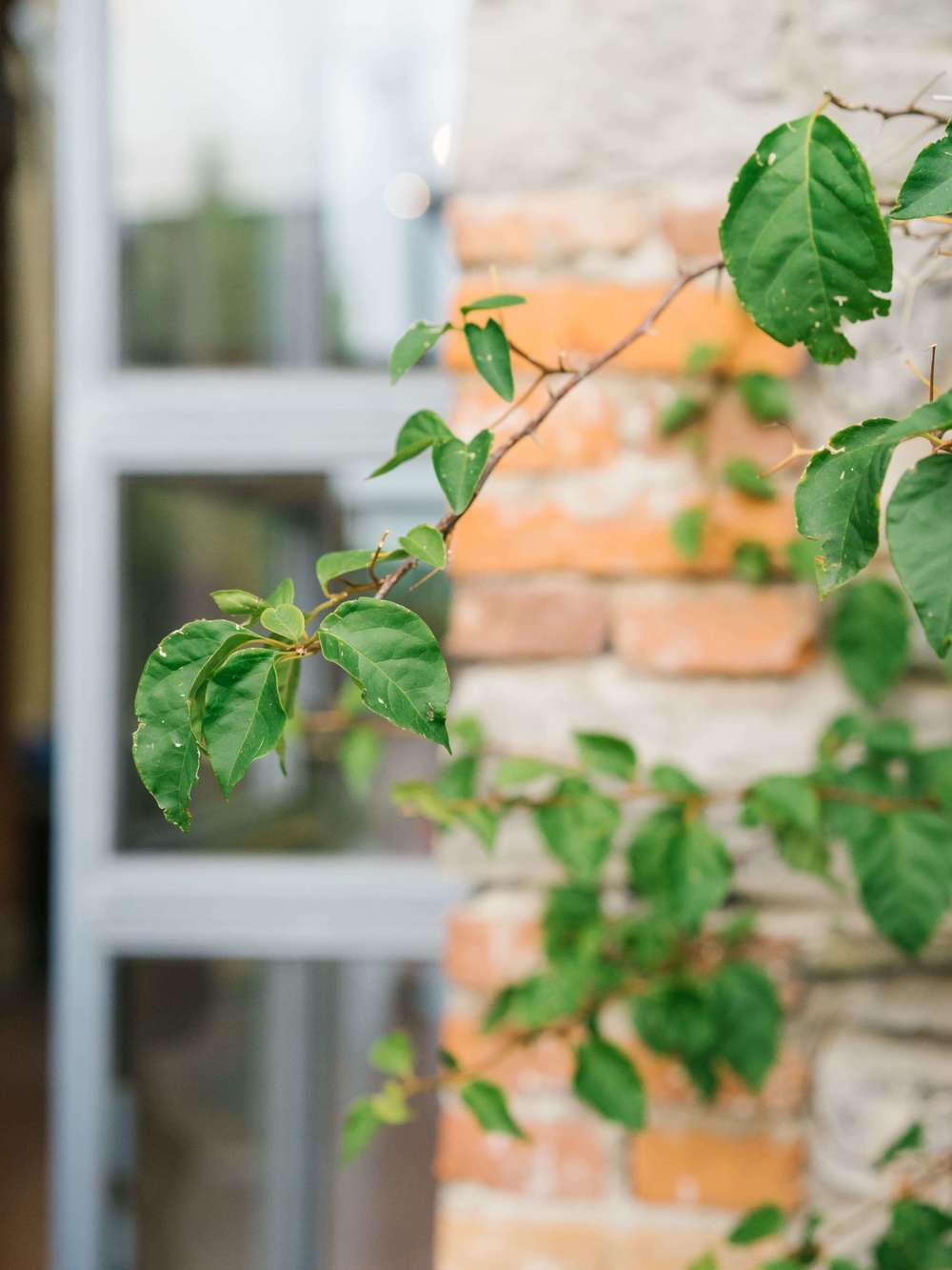 Daniele & Anna