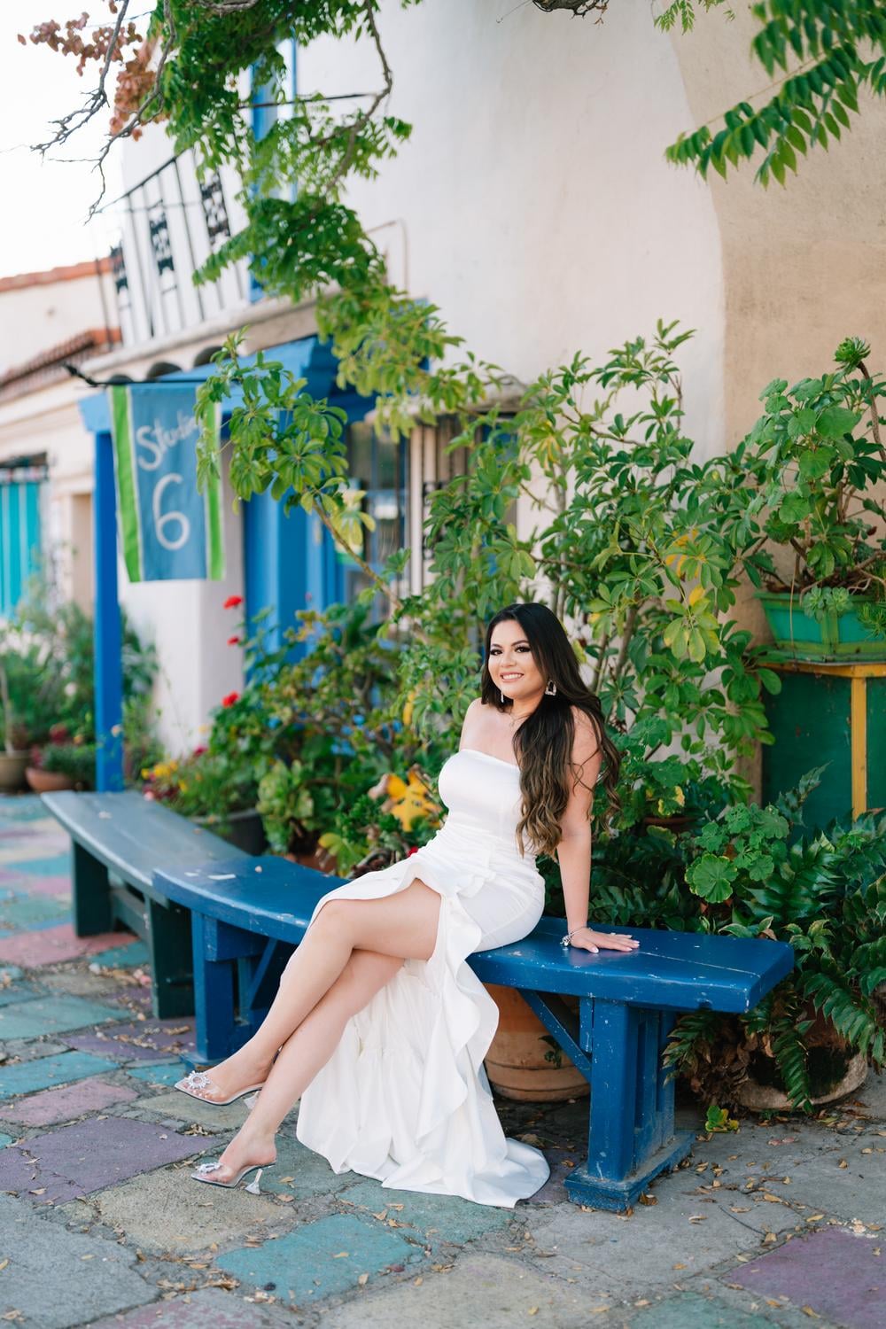 Johan & Alondra's Engagement