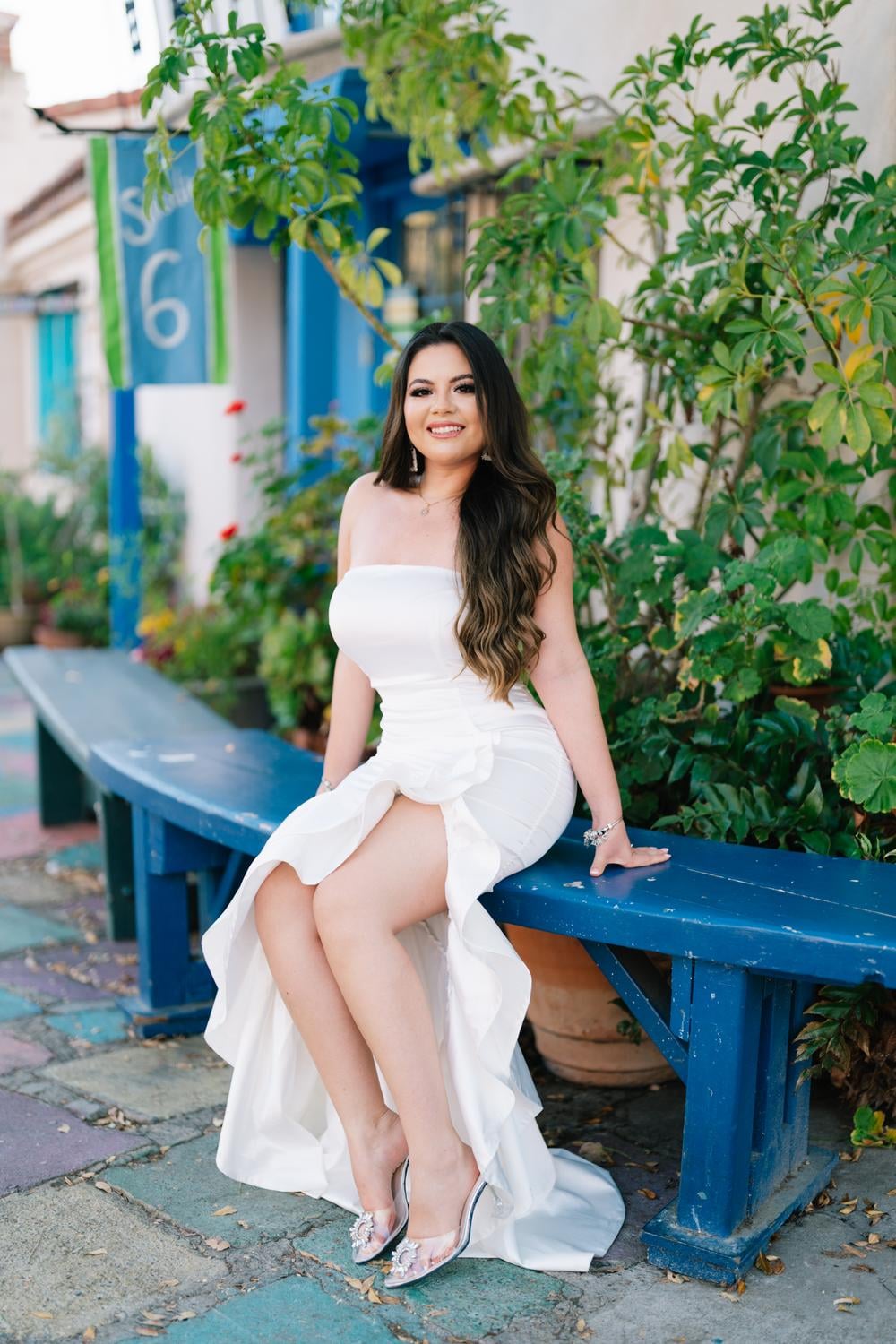 Johan & Alondra's Engagement
