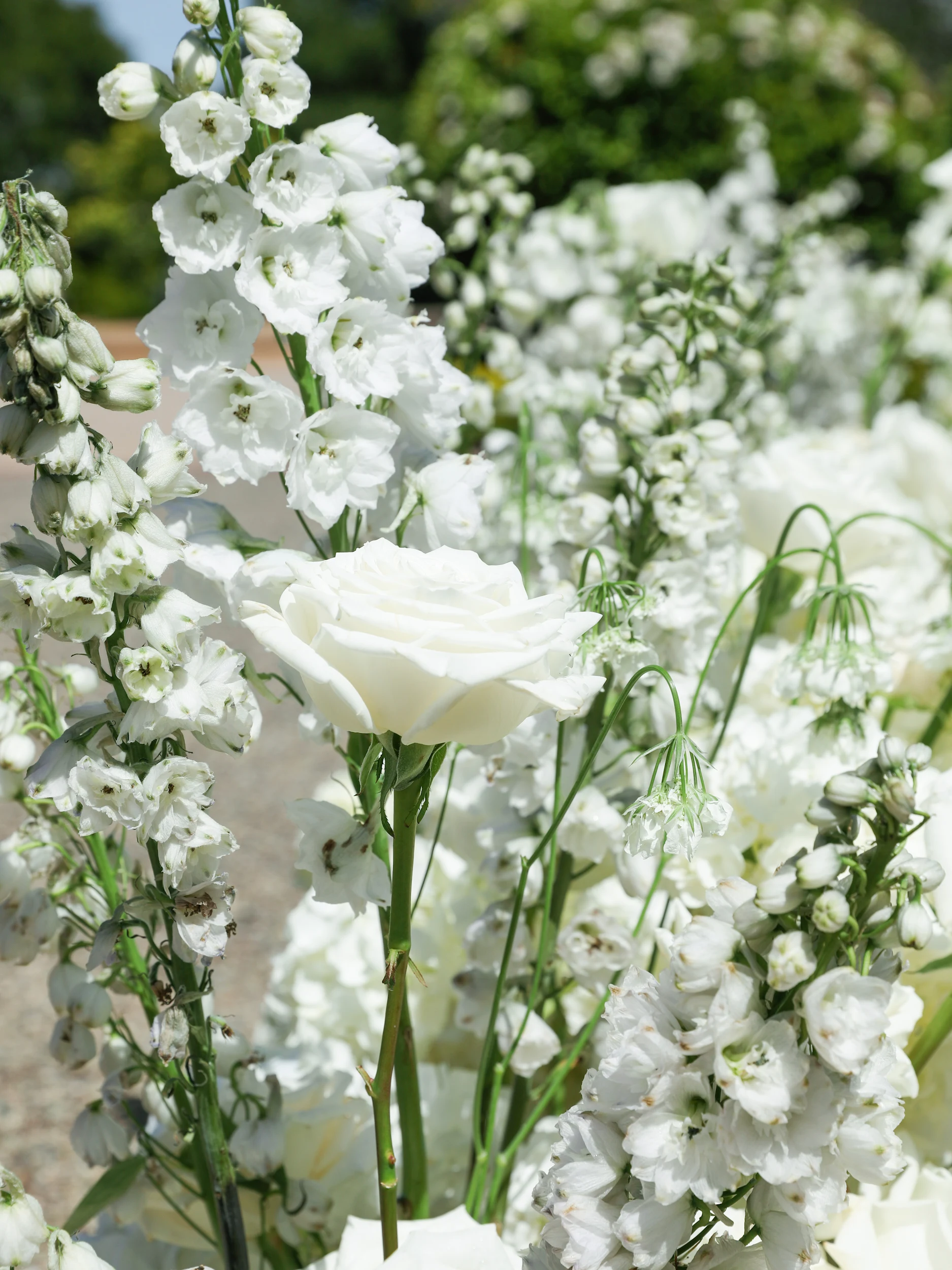 Melissa & Julian — Wedding