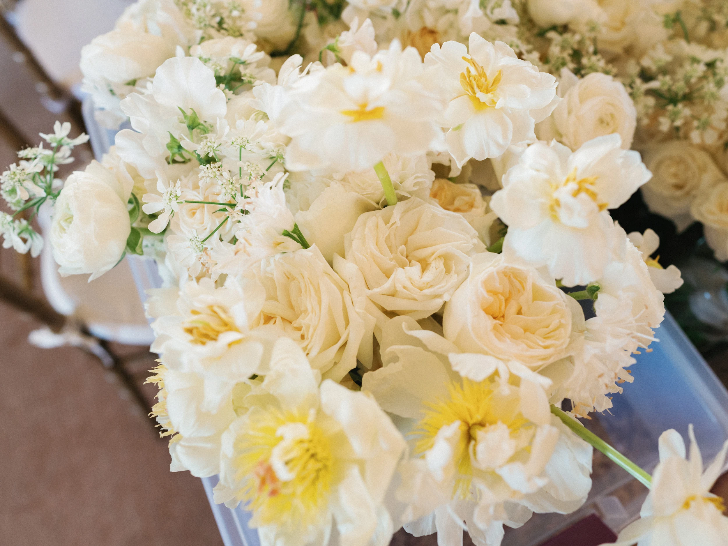 Melissa & Julian — Wedding