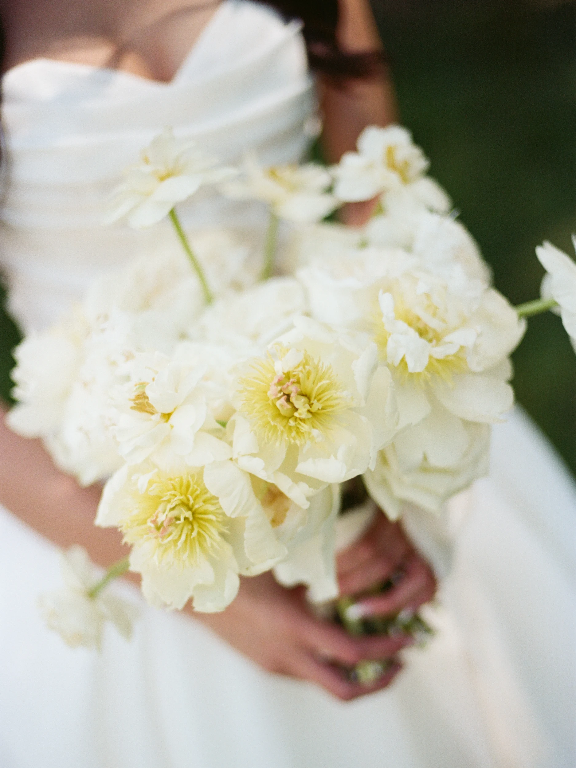 Melissa & Julian — Wedding