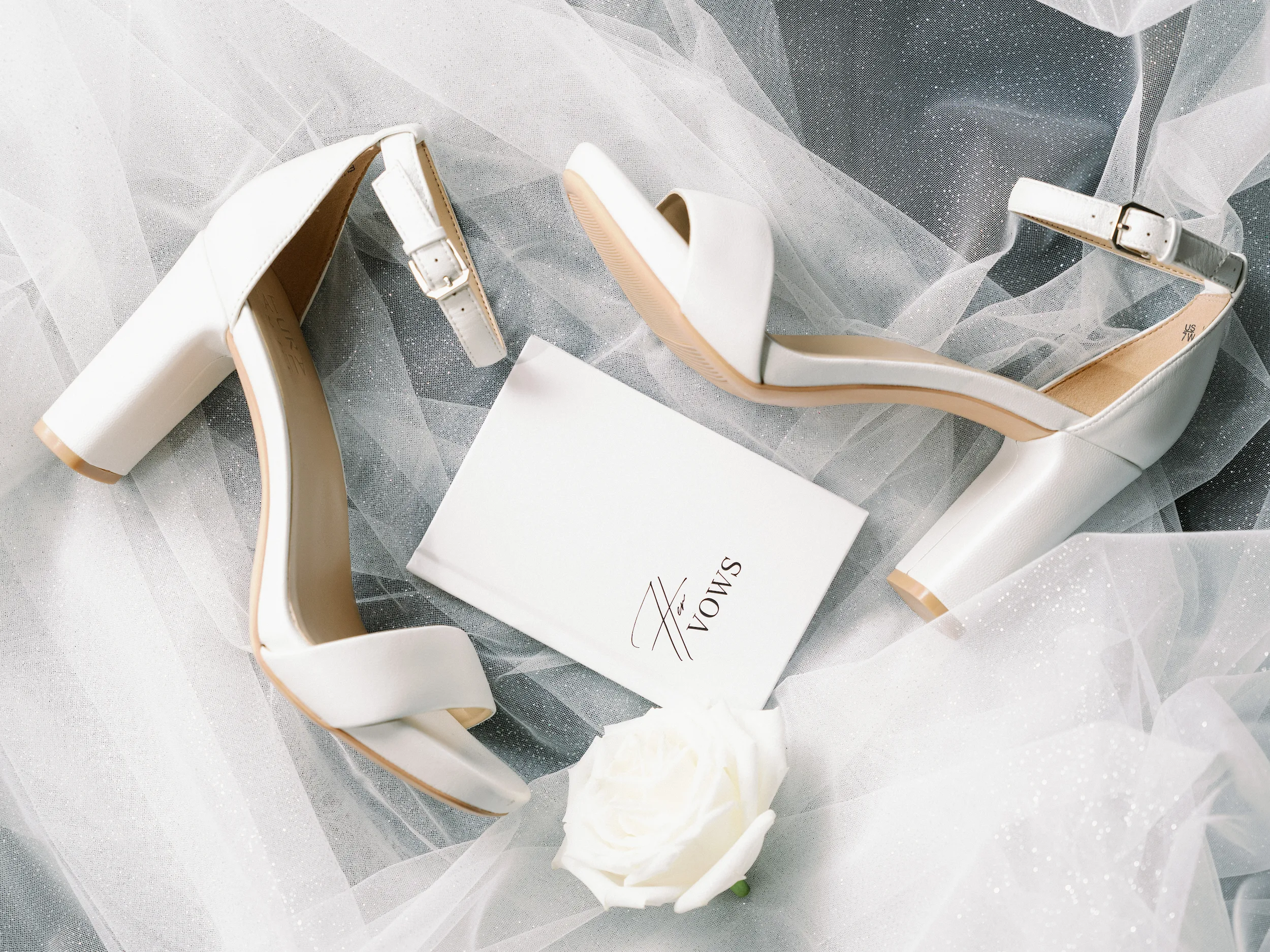 Tashia & Scott — Wedding