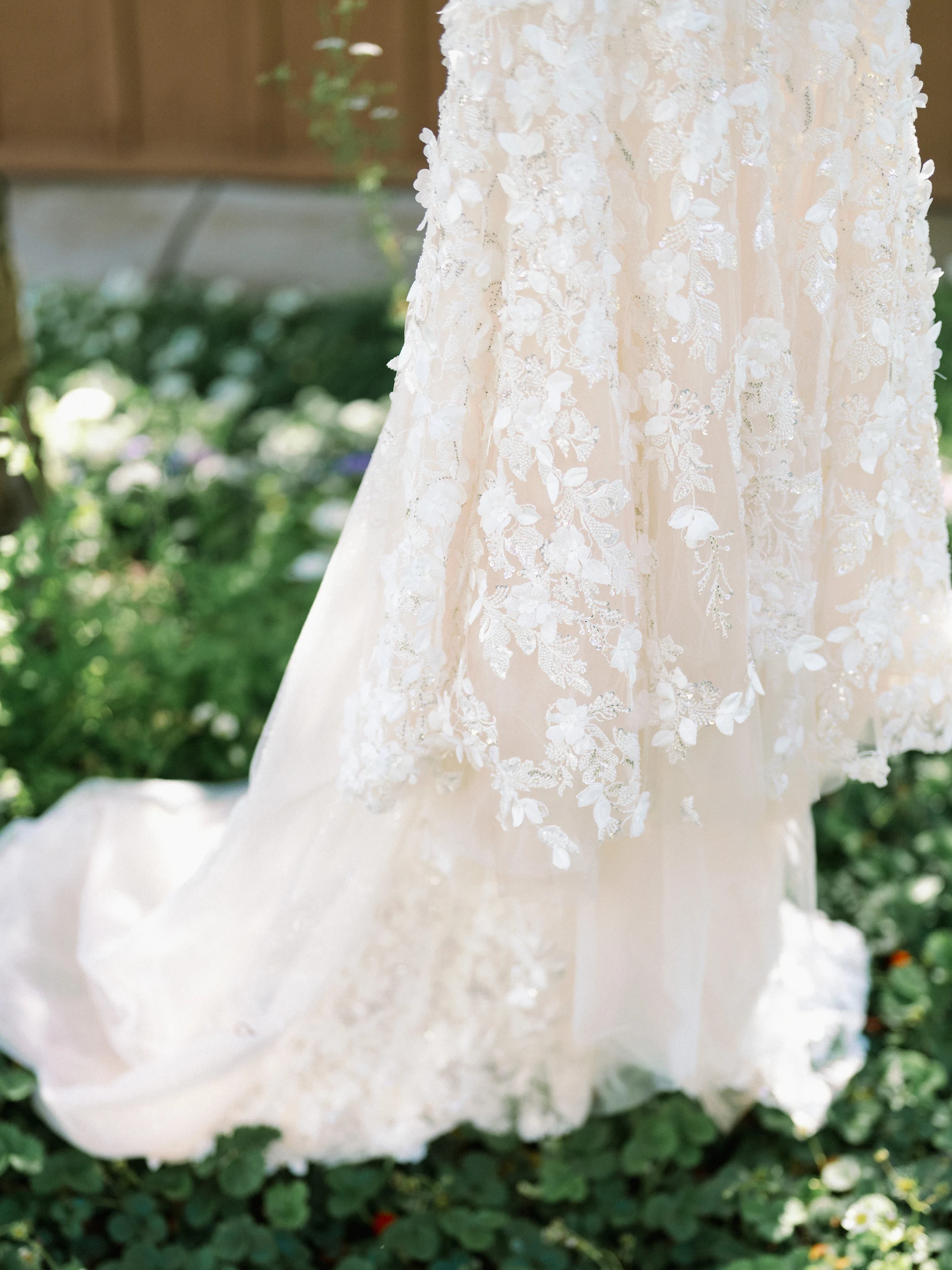 Tashia & Scott — Wedding