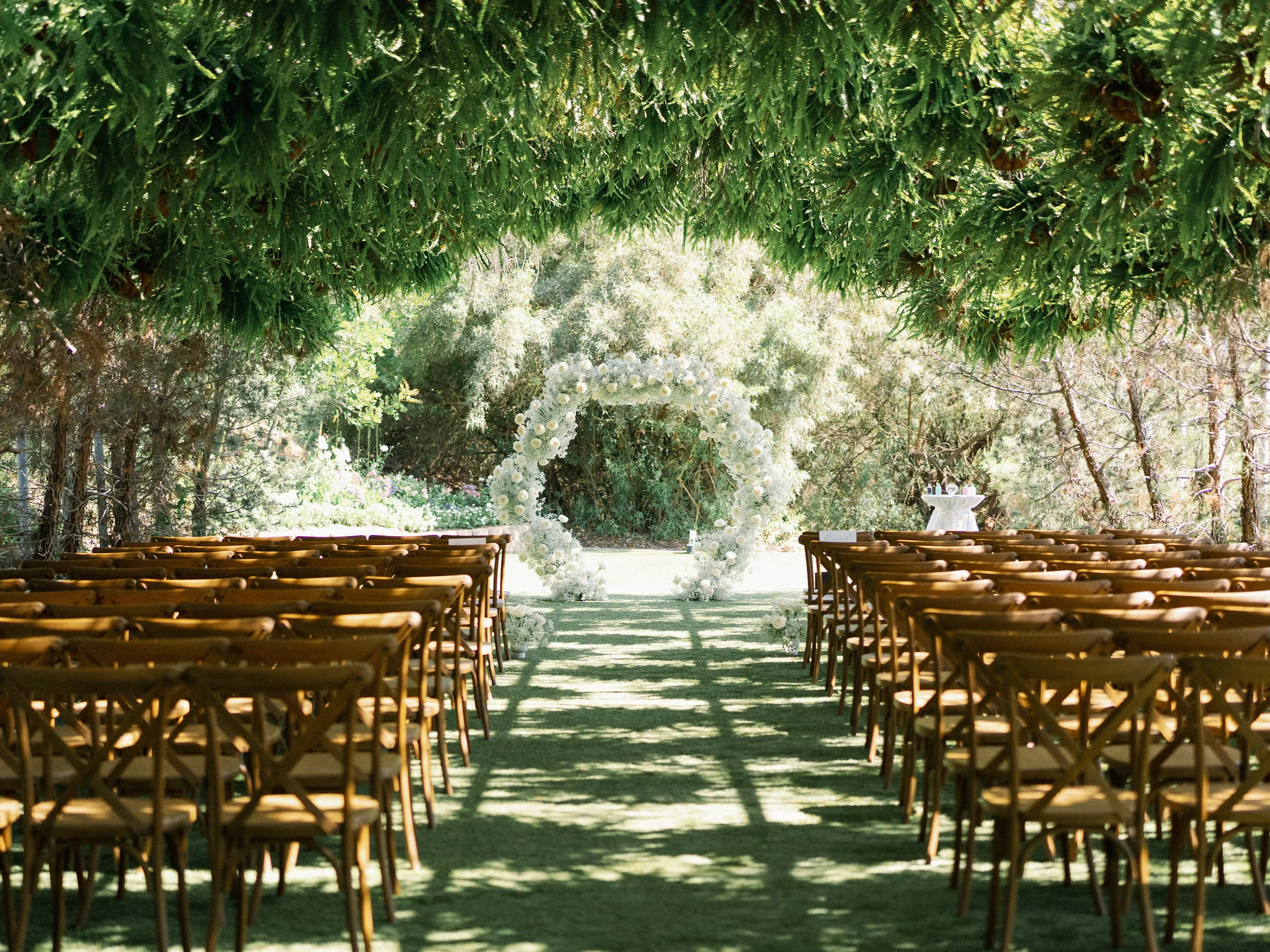 Tashia & Scott — Wedding