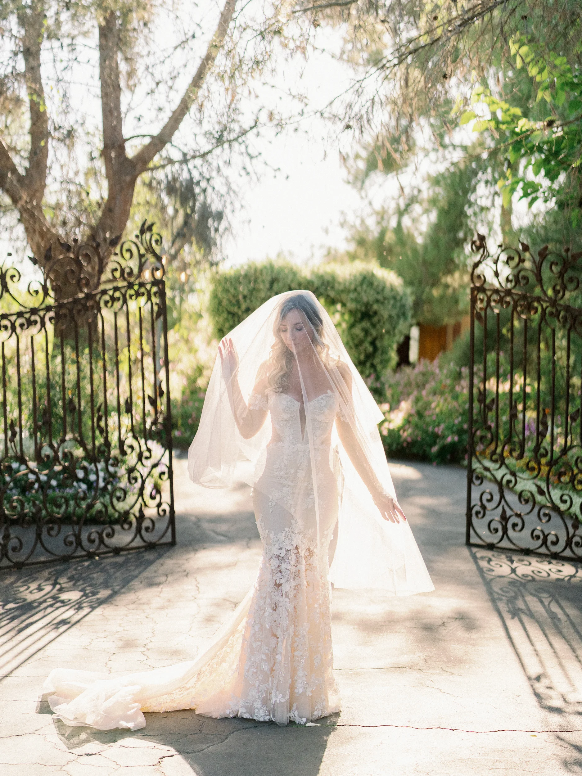 Tashia & Scott — Wedding