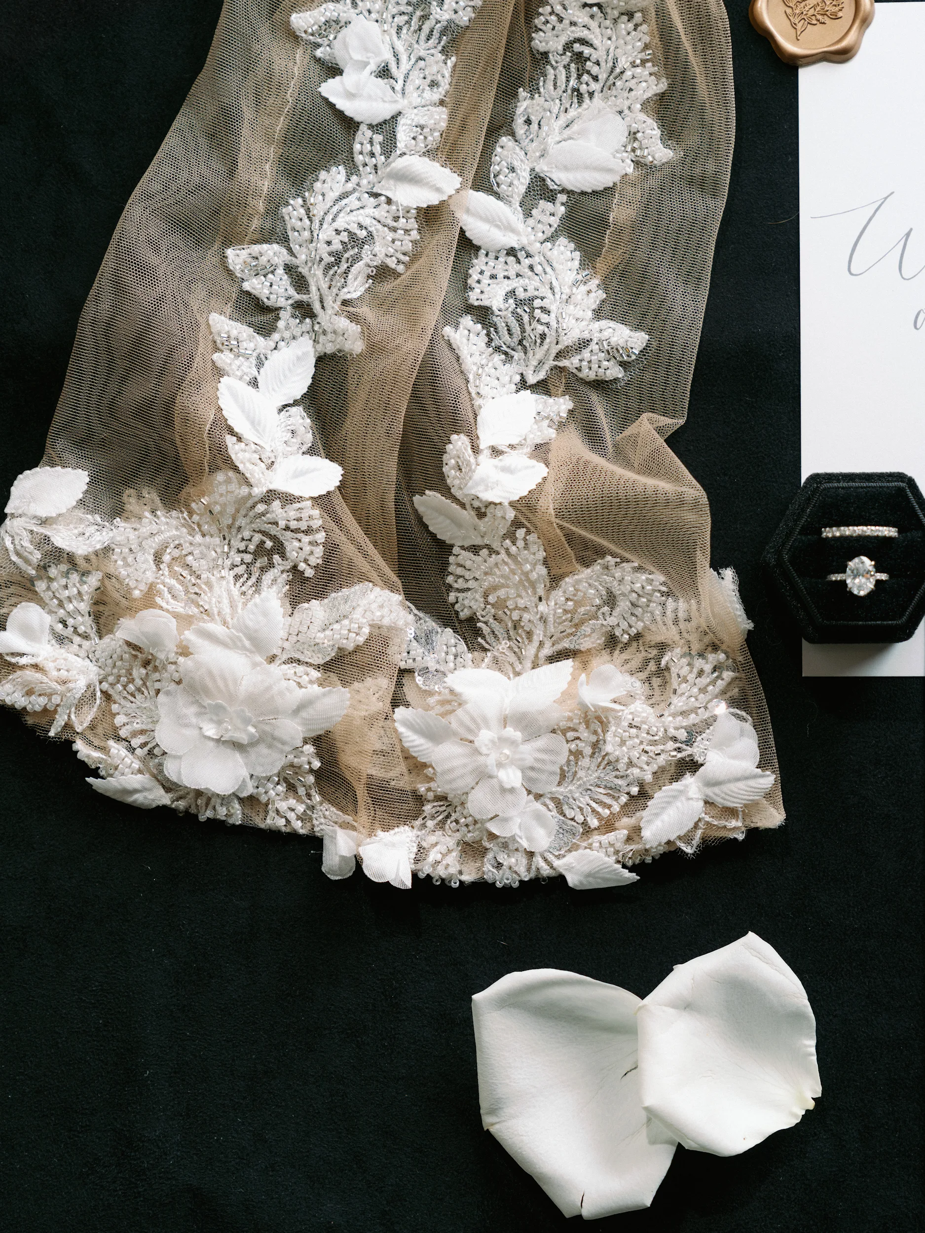 Tashia & Scott — Wedding