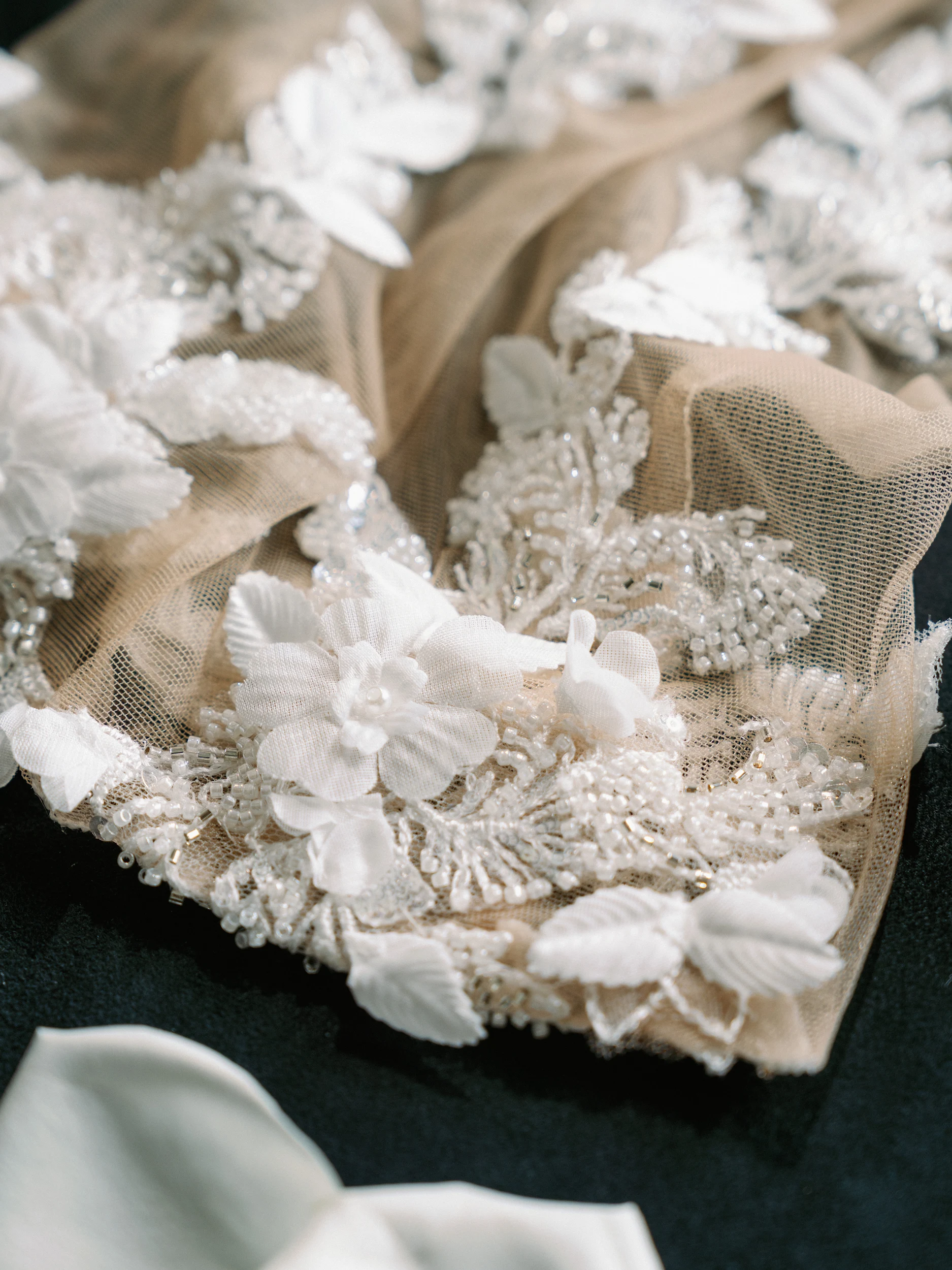 Tashia & Scott — Wedding