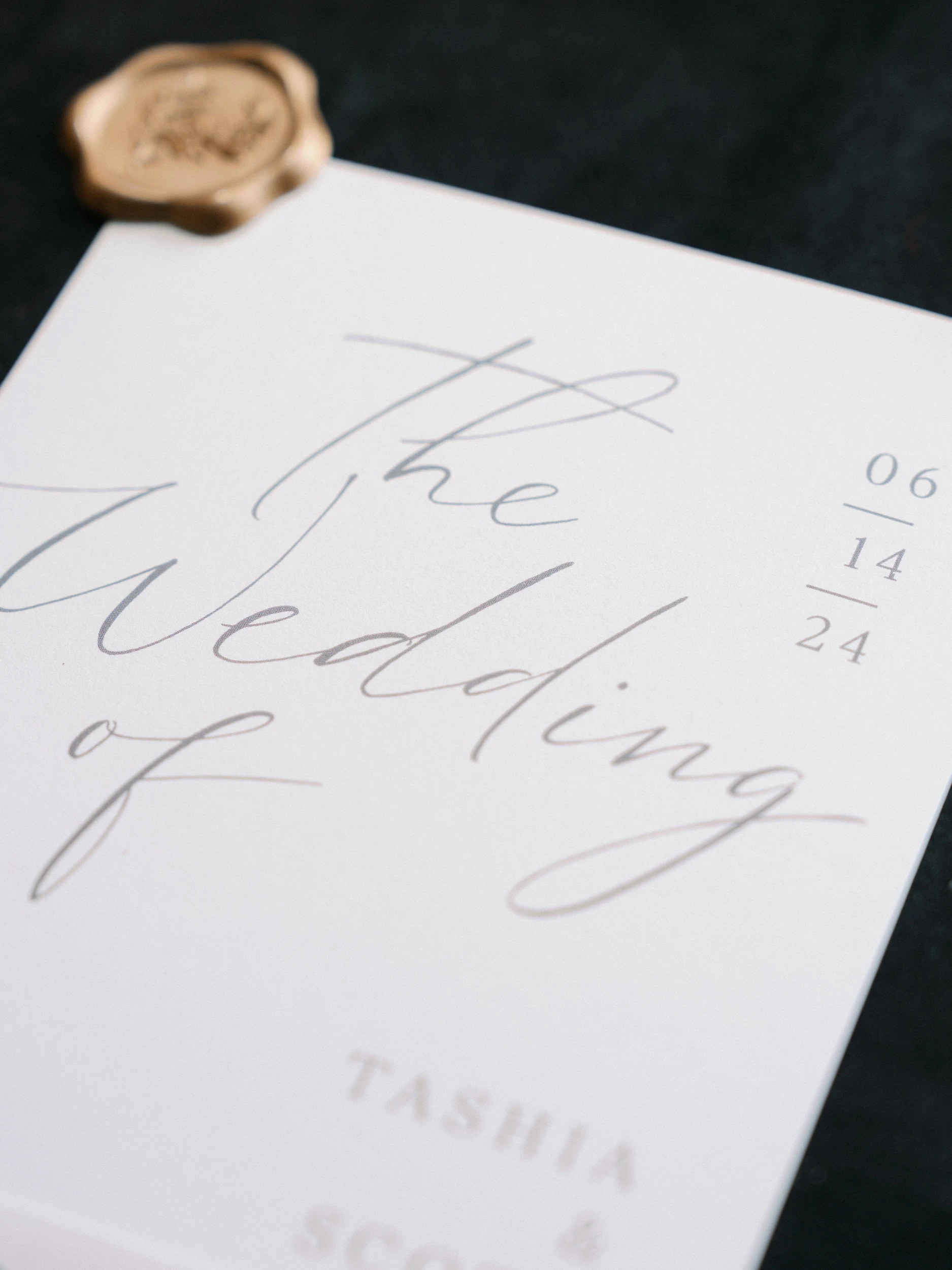 Tashia & Scott — Wedding