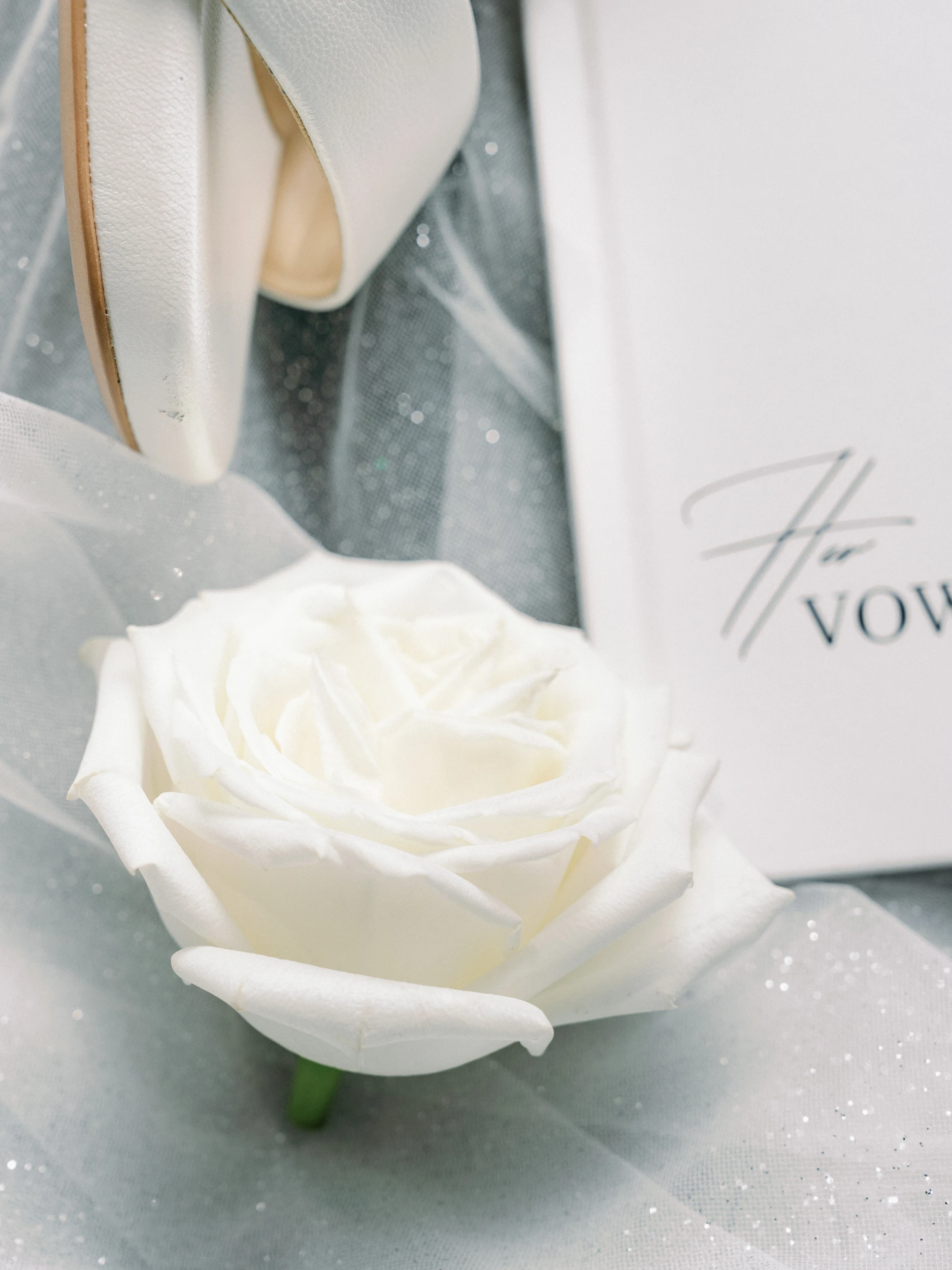 Tashia & Scott — Wedding