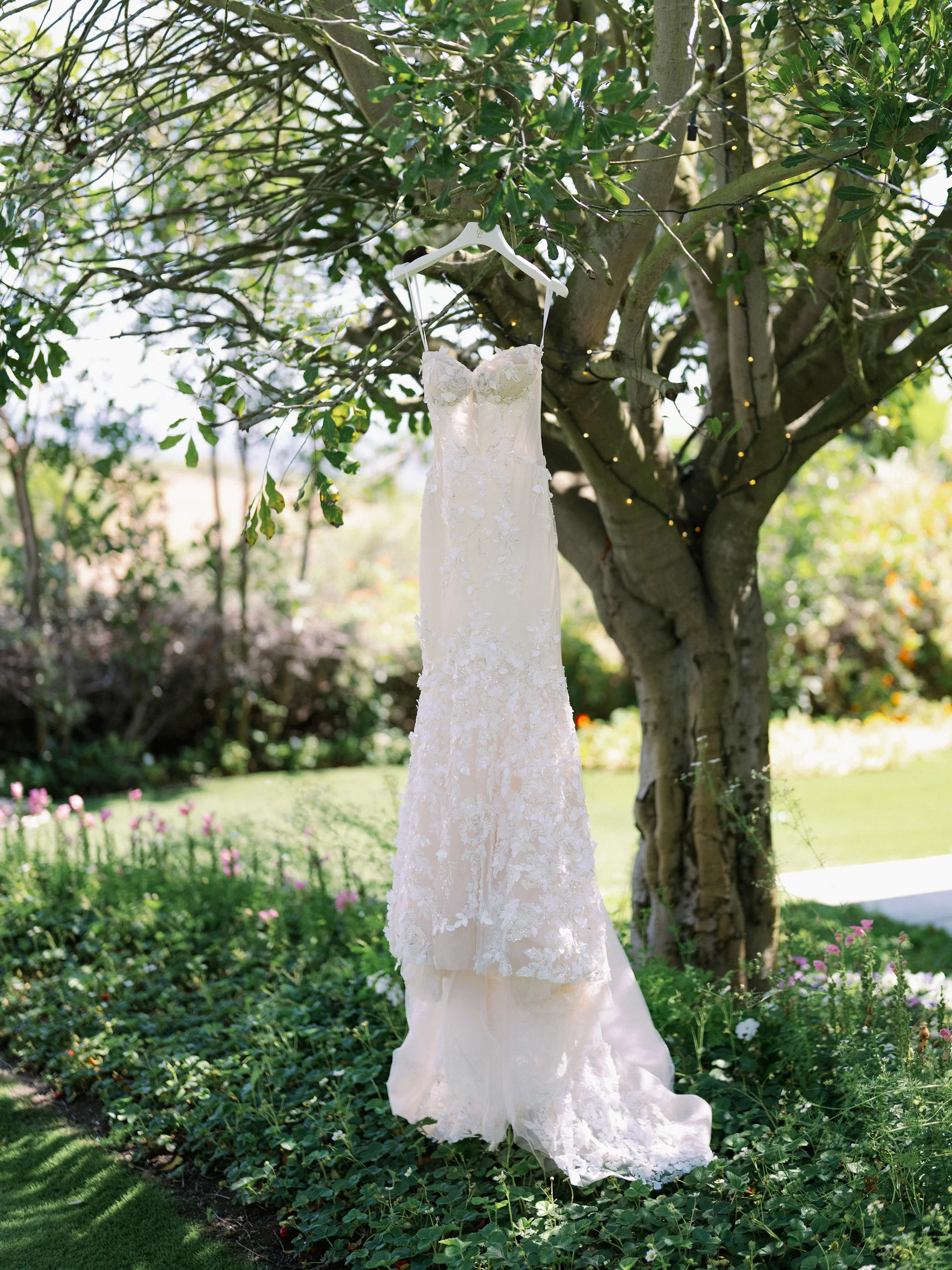 Tashia & Scott — Wedding