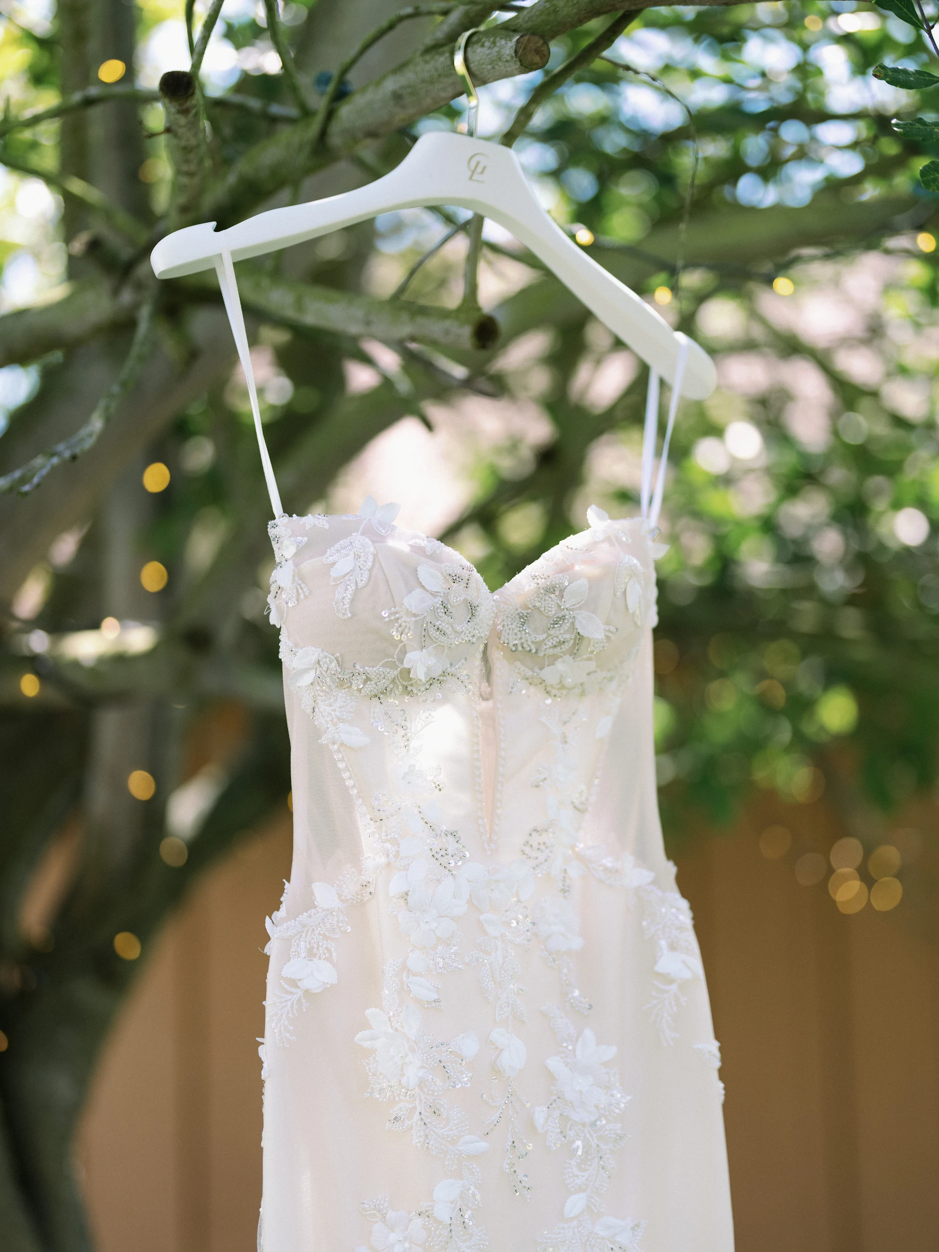 Tashia & Scott — Wedding