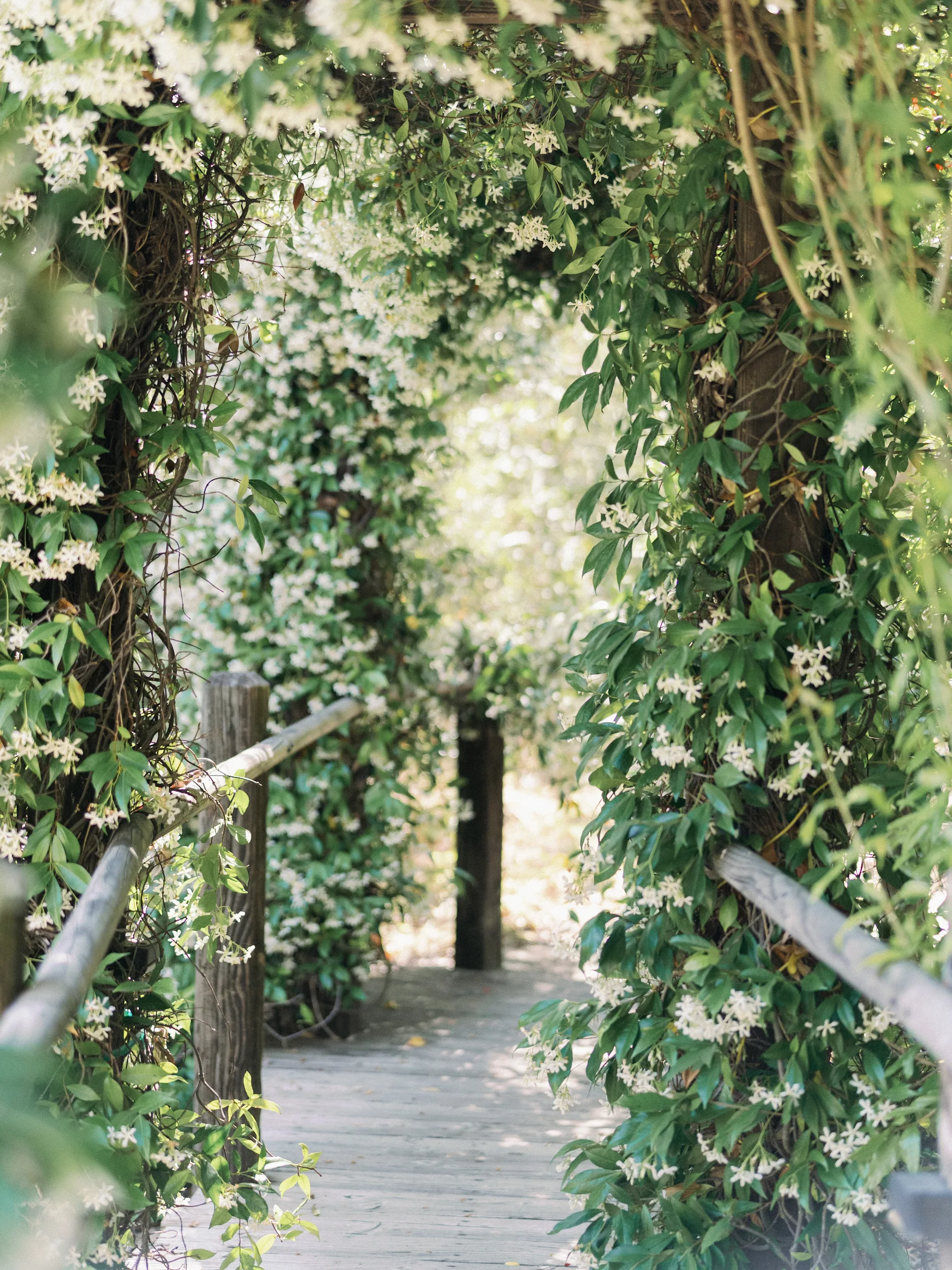 Tashia & Scott — Wedding