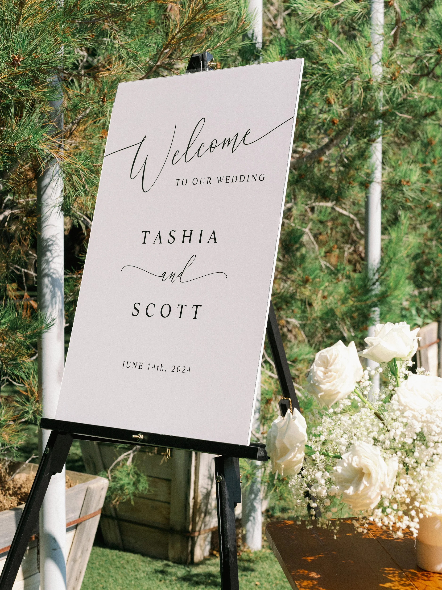 Tashia & Scott — Wedding