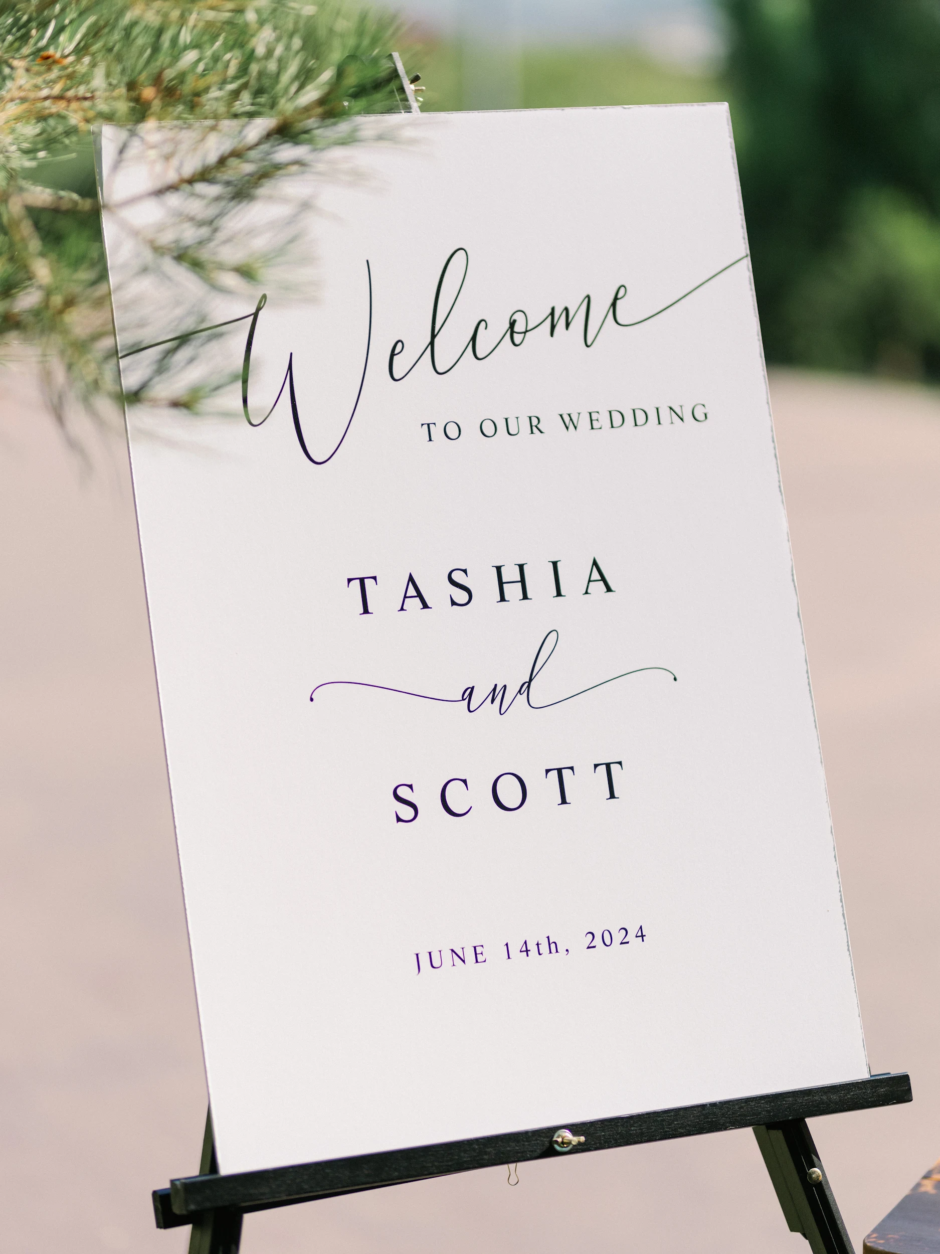 Tashia & Scott — Wedding