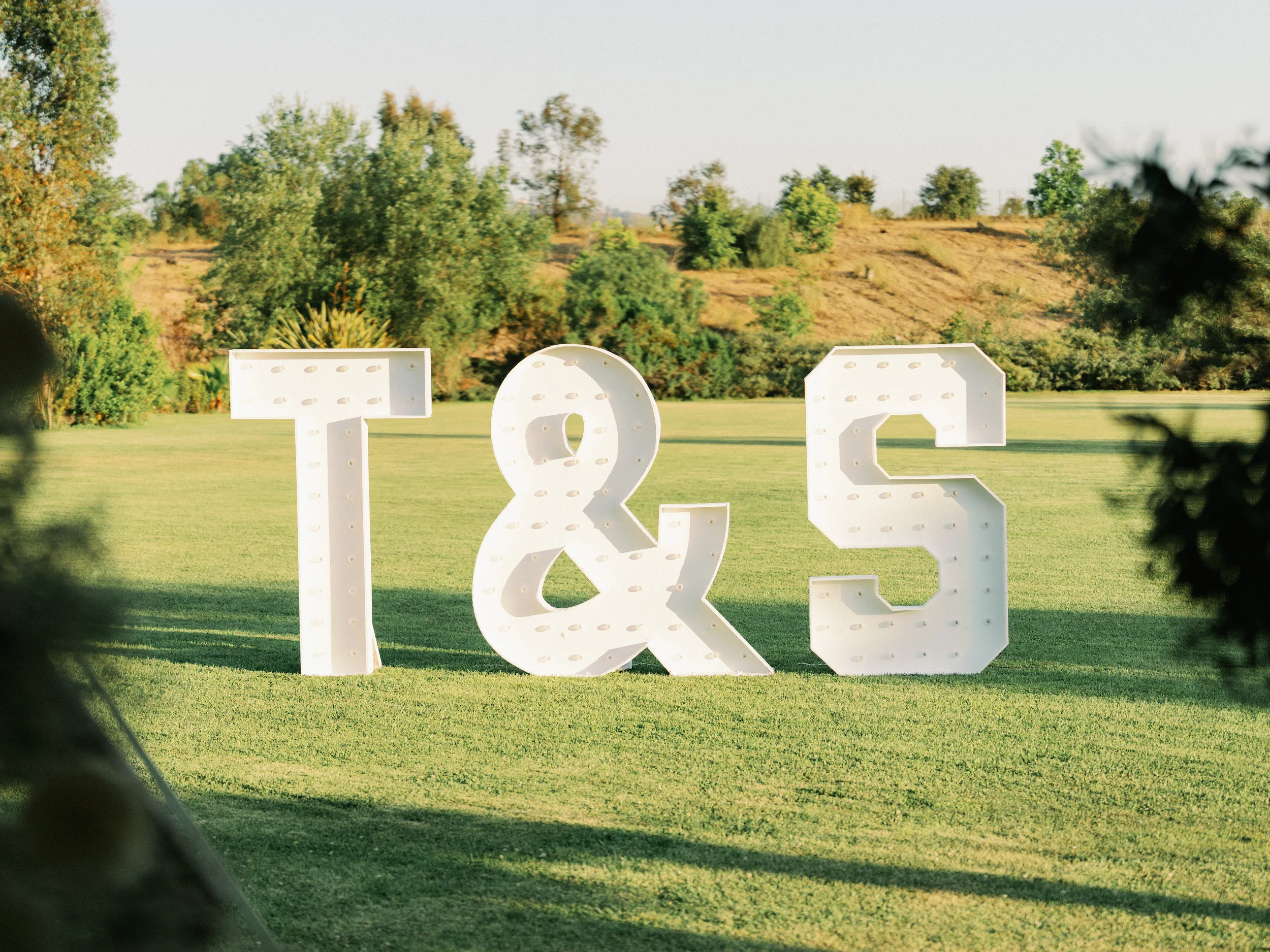Tashia & Scott — Wedding