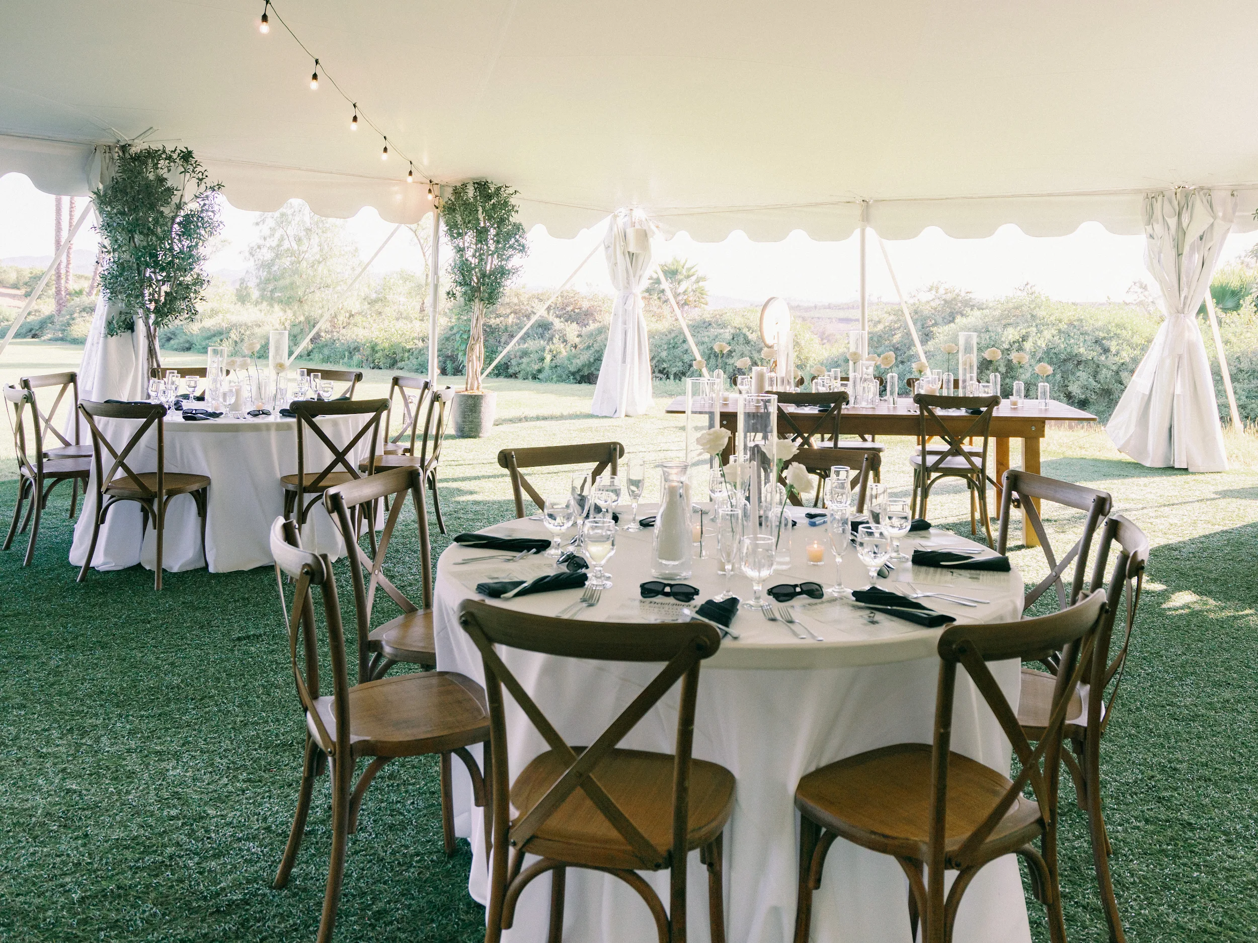 Tashia & Scott — Wedding