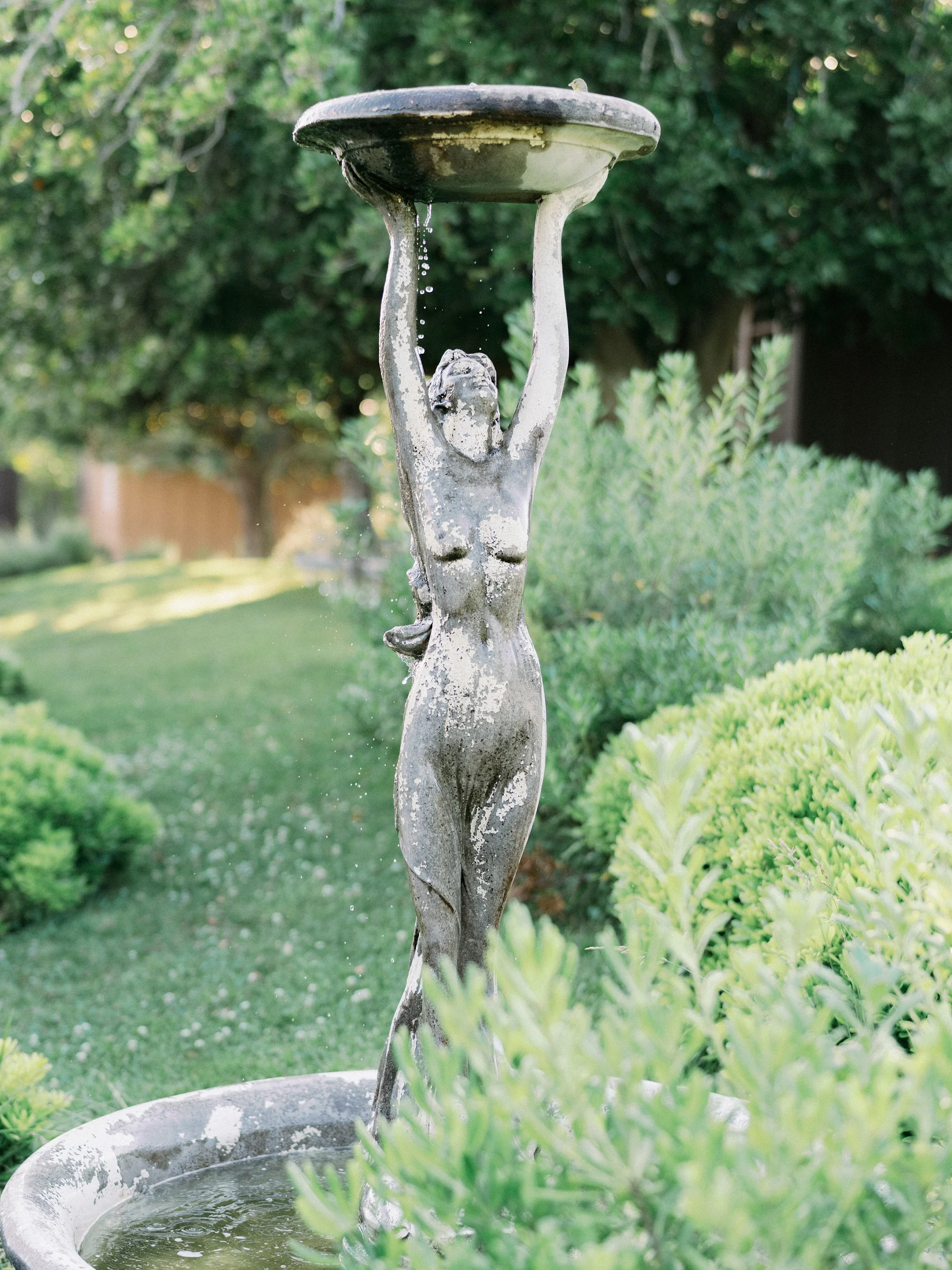 Tashia & Scott — Wedding