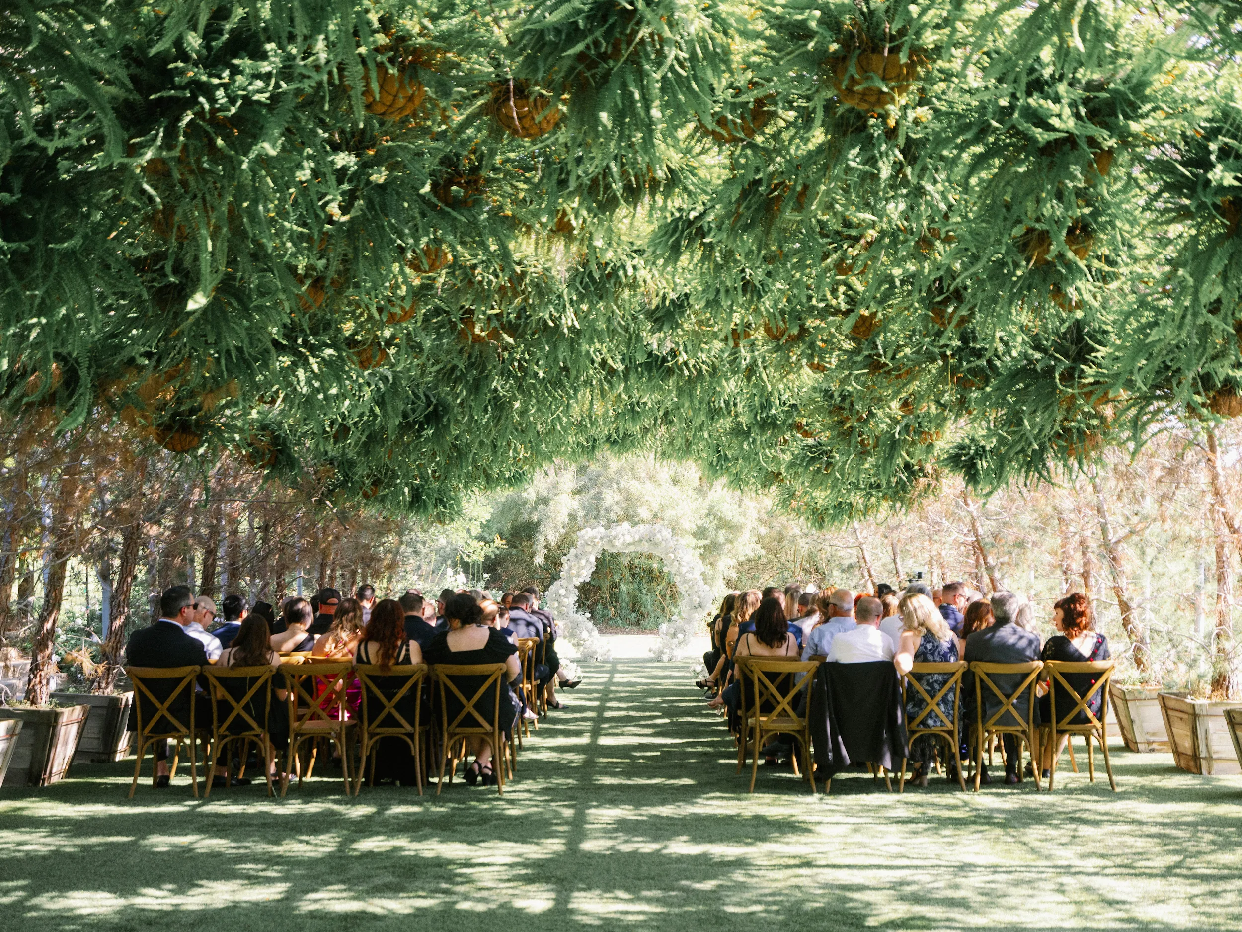 Tashia & Scott — Wedding