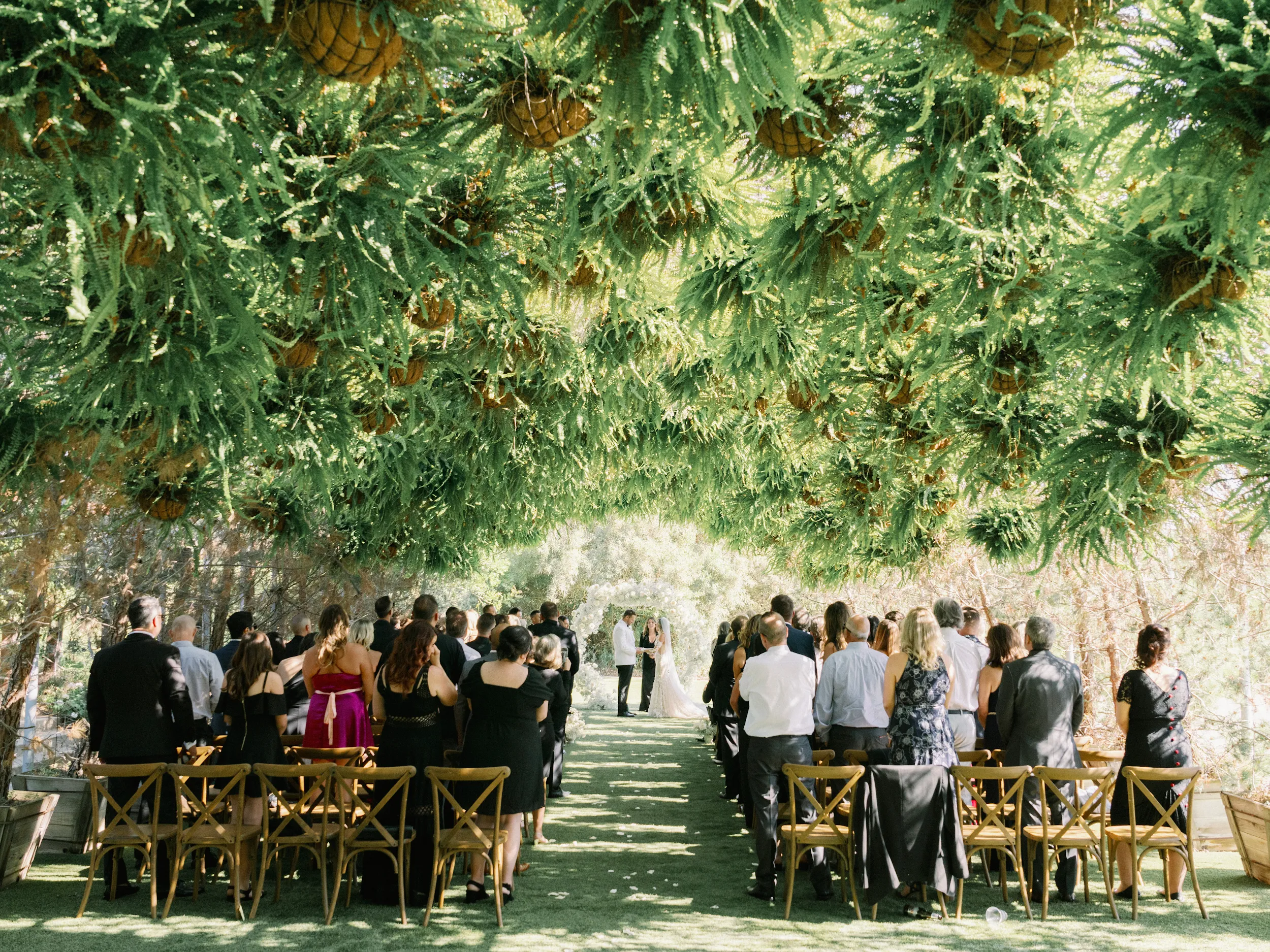 Tashia & Scott — Wedding