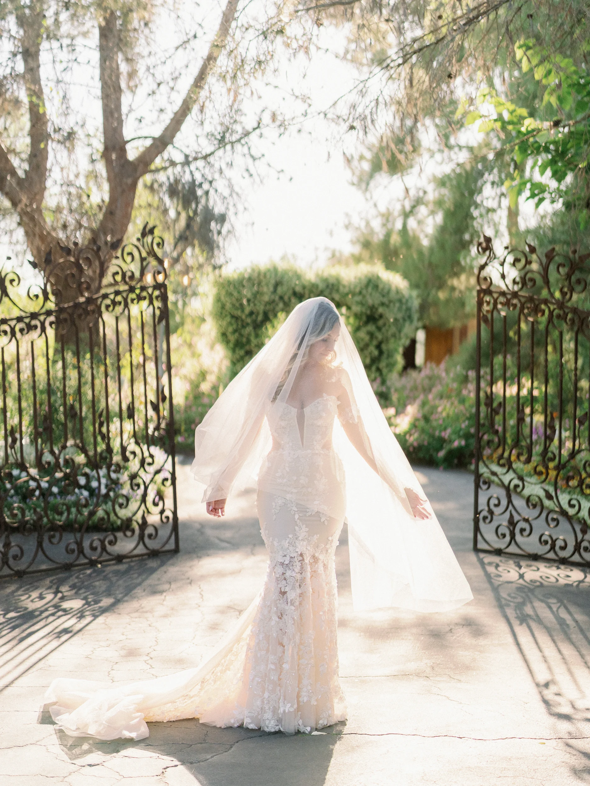Tashia & Scott — Wedding