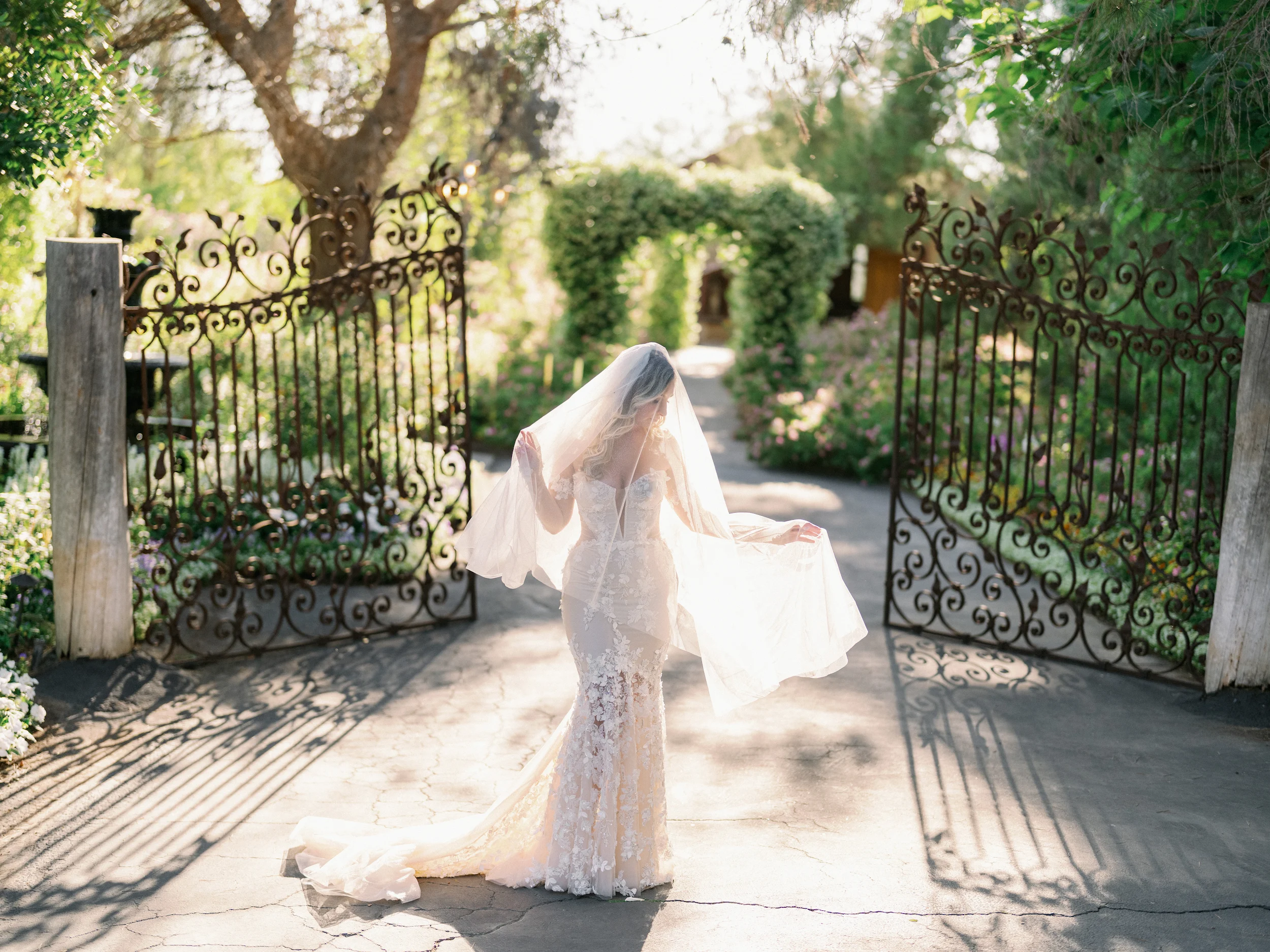 Tashia & Scott — Wedding