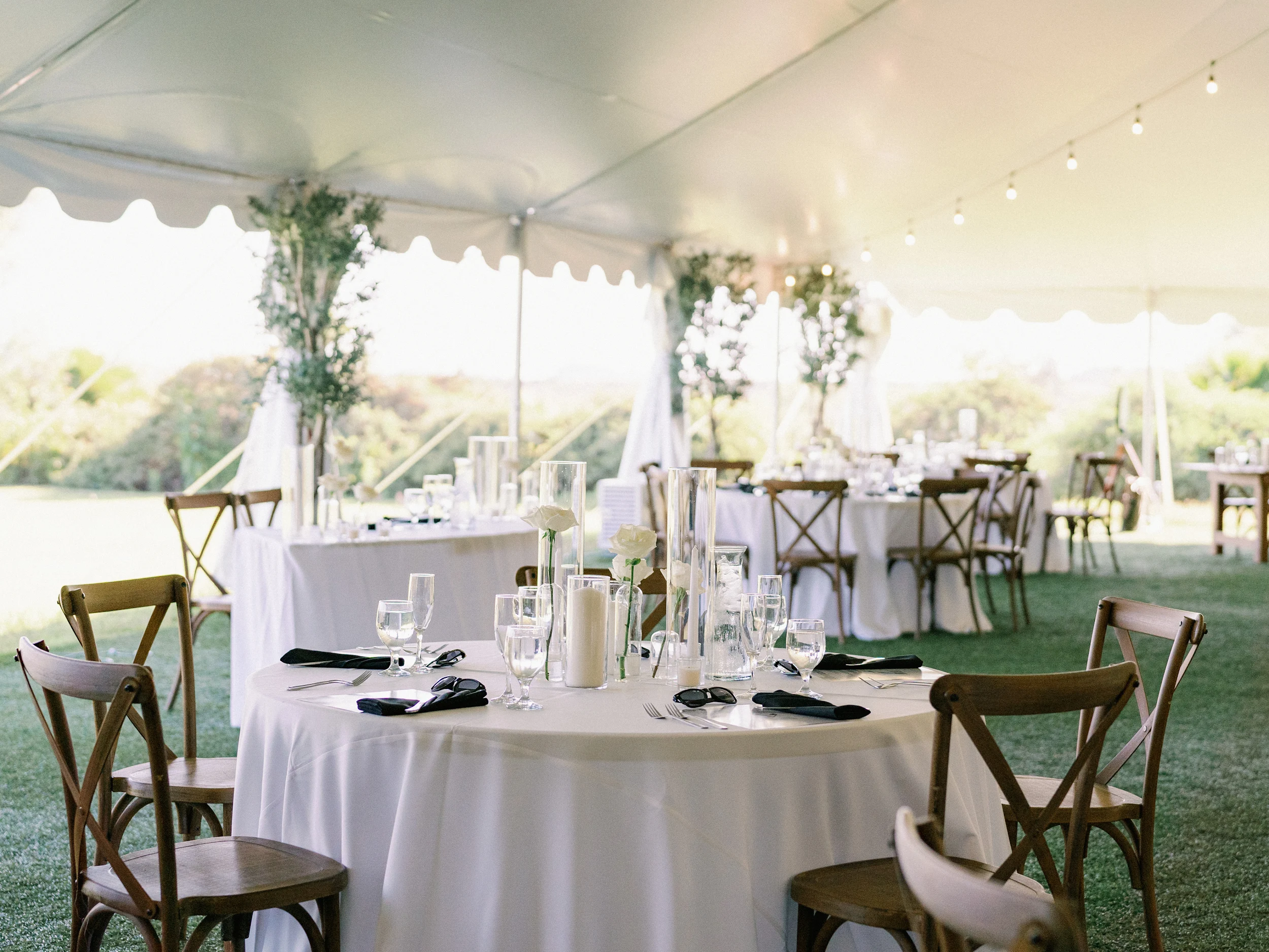 Tashia & Scott — Wedding