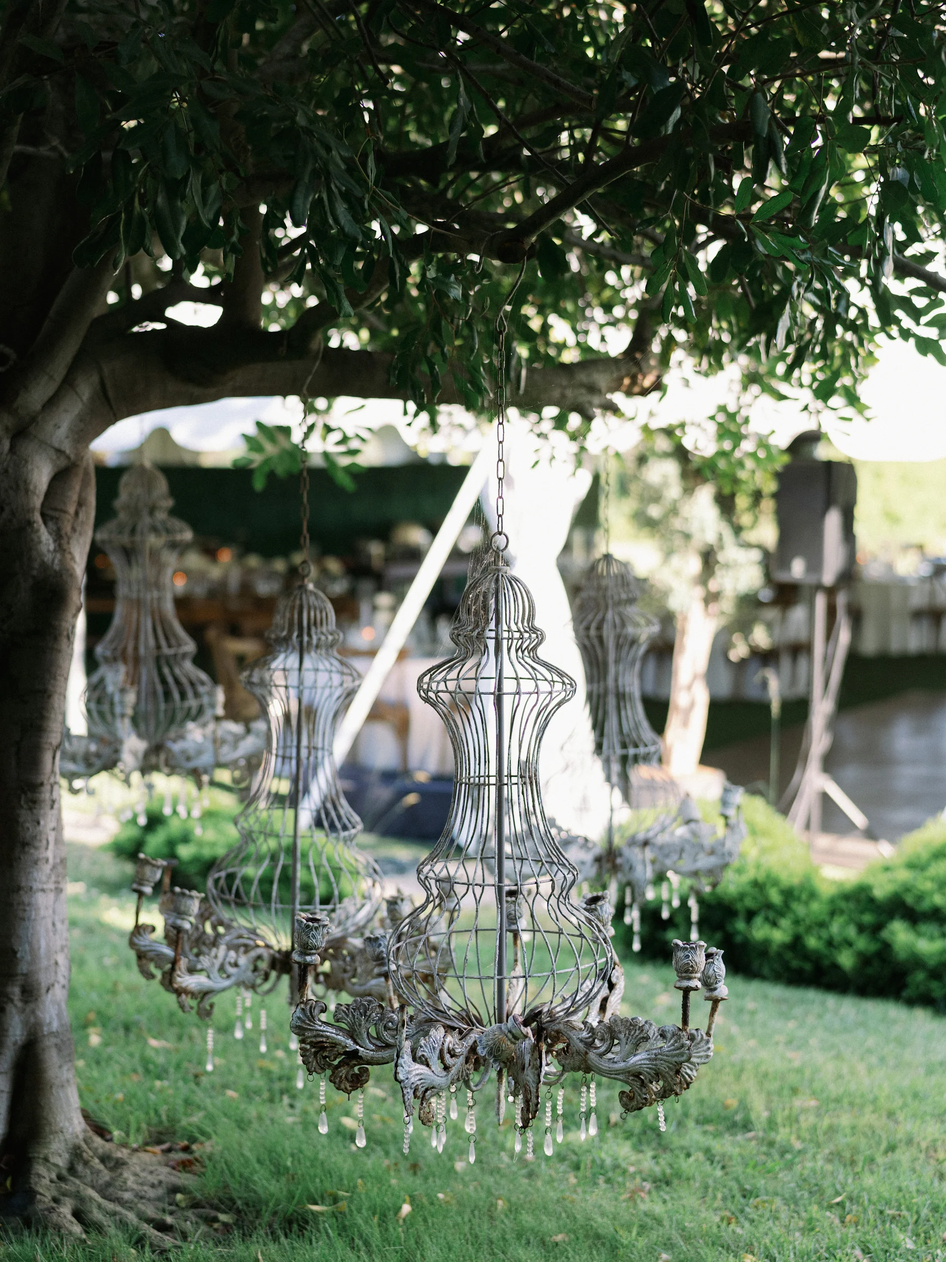 Tashia & Scott — Wedding