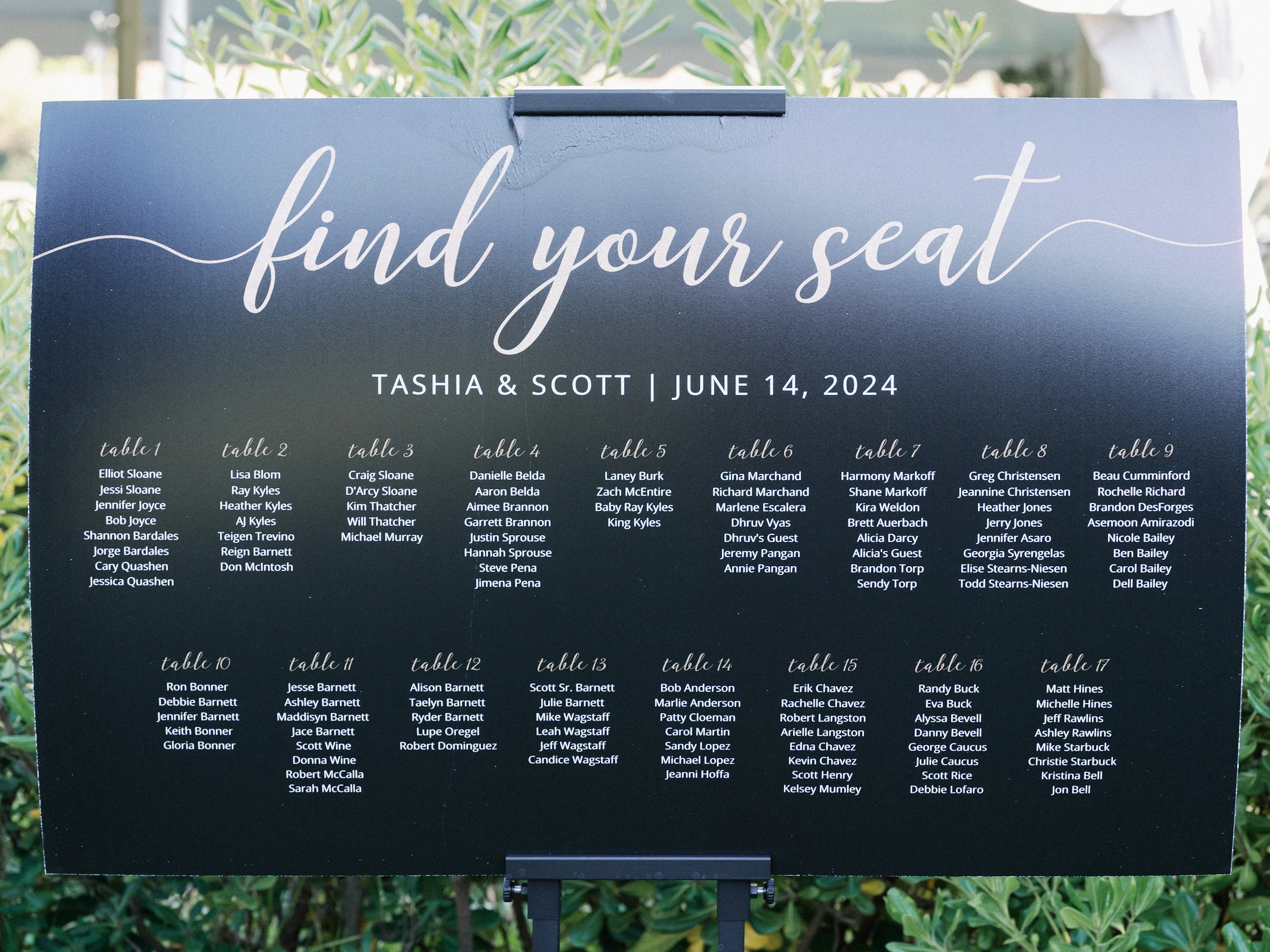 Tashia & Scott — Wedding