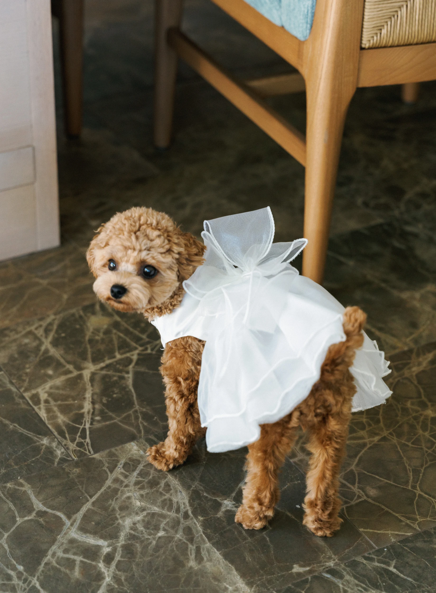 Jaein & Edward — Wedding