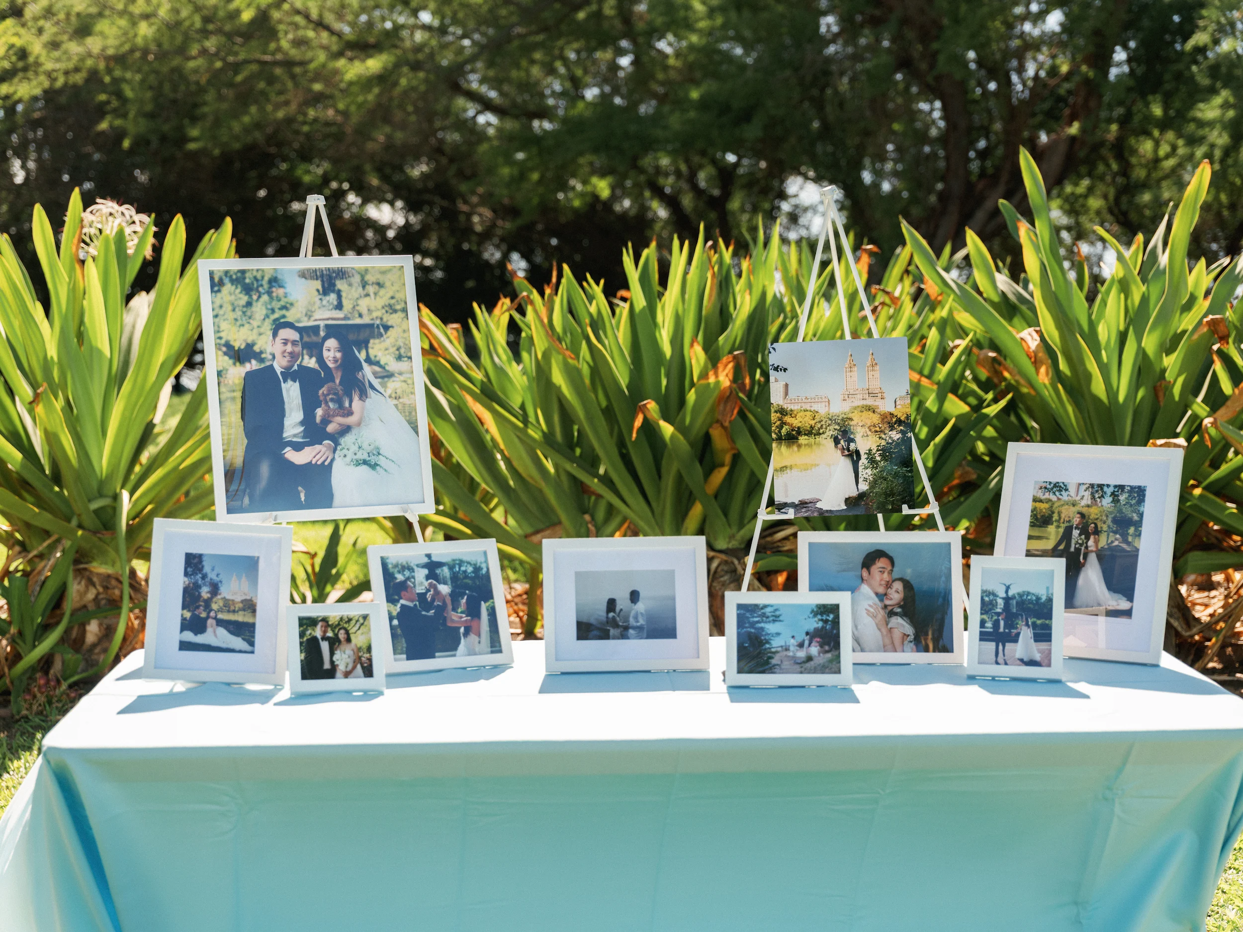 Jaein & Edward — Wedding