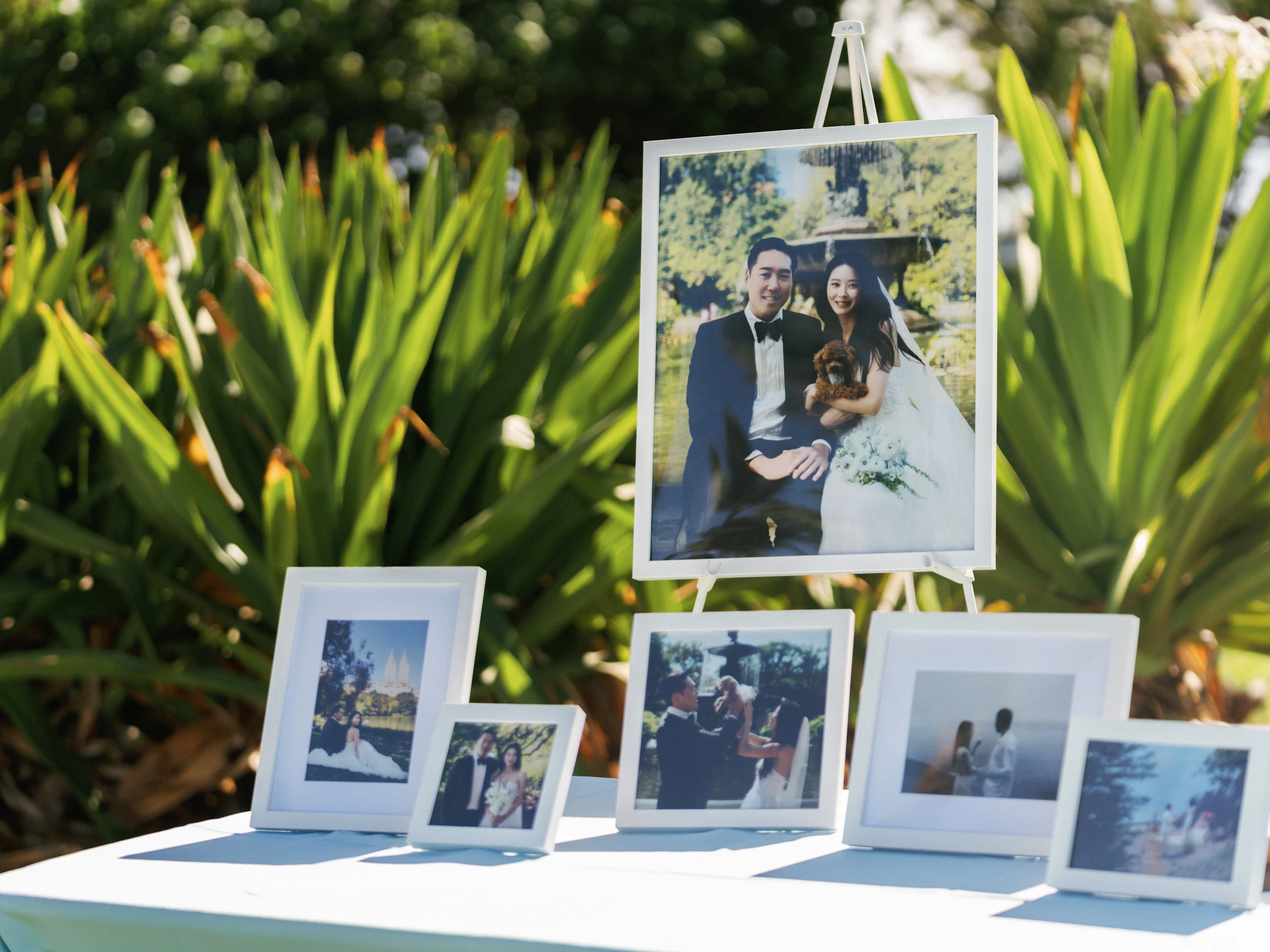 Jaein & Edward — Wedding