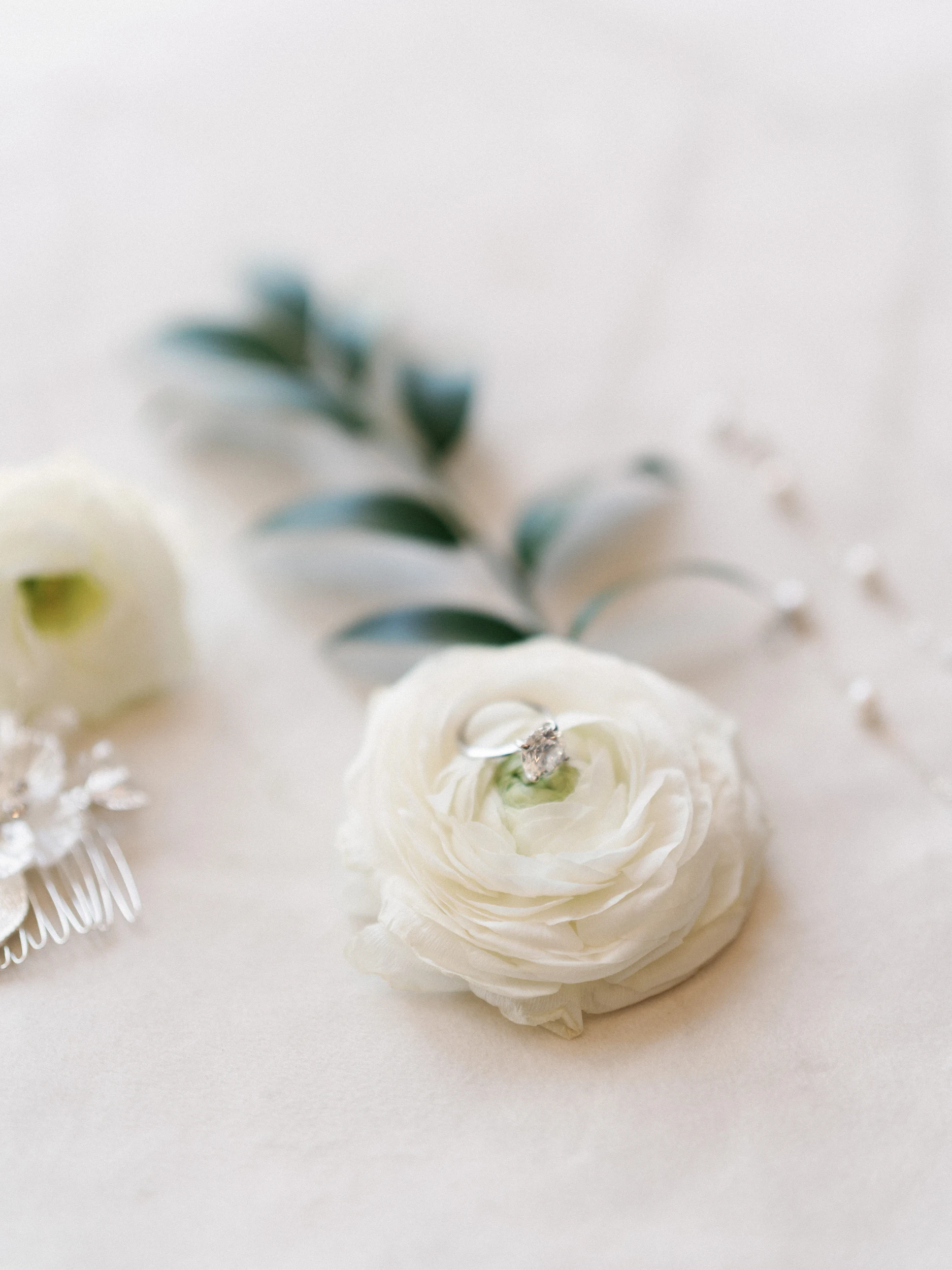 Howard & Lisa — Wedding