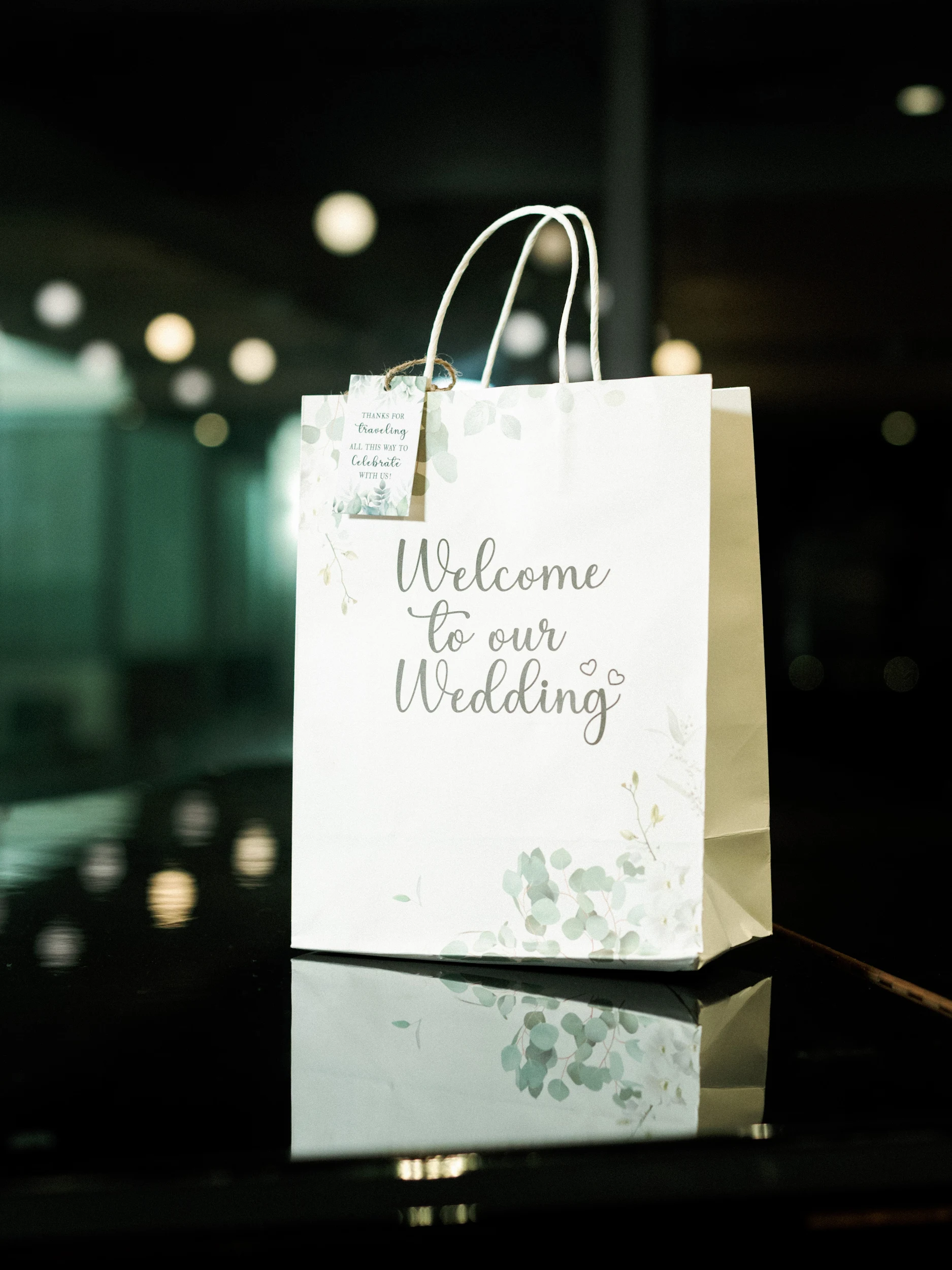 Krishna & Dilan — Wedding