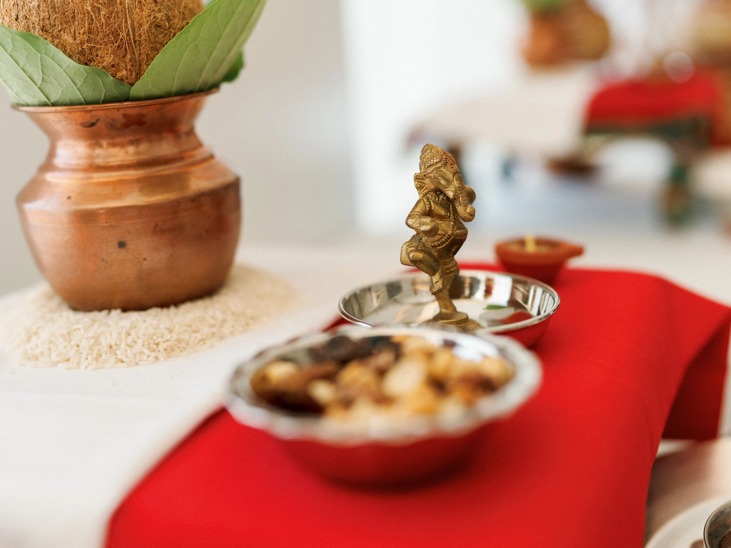 Krishna & Dilan — Wedding