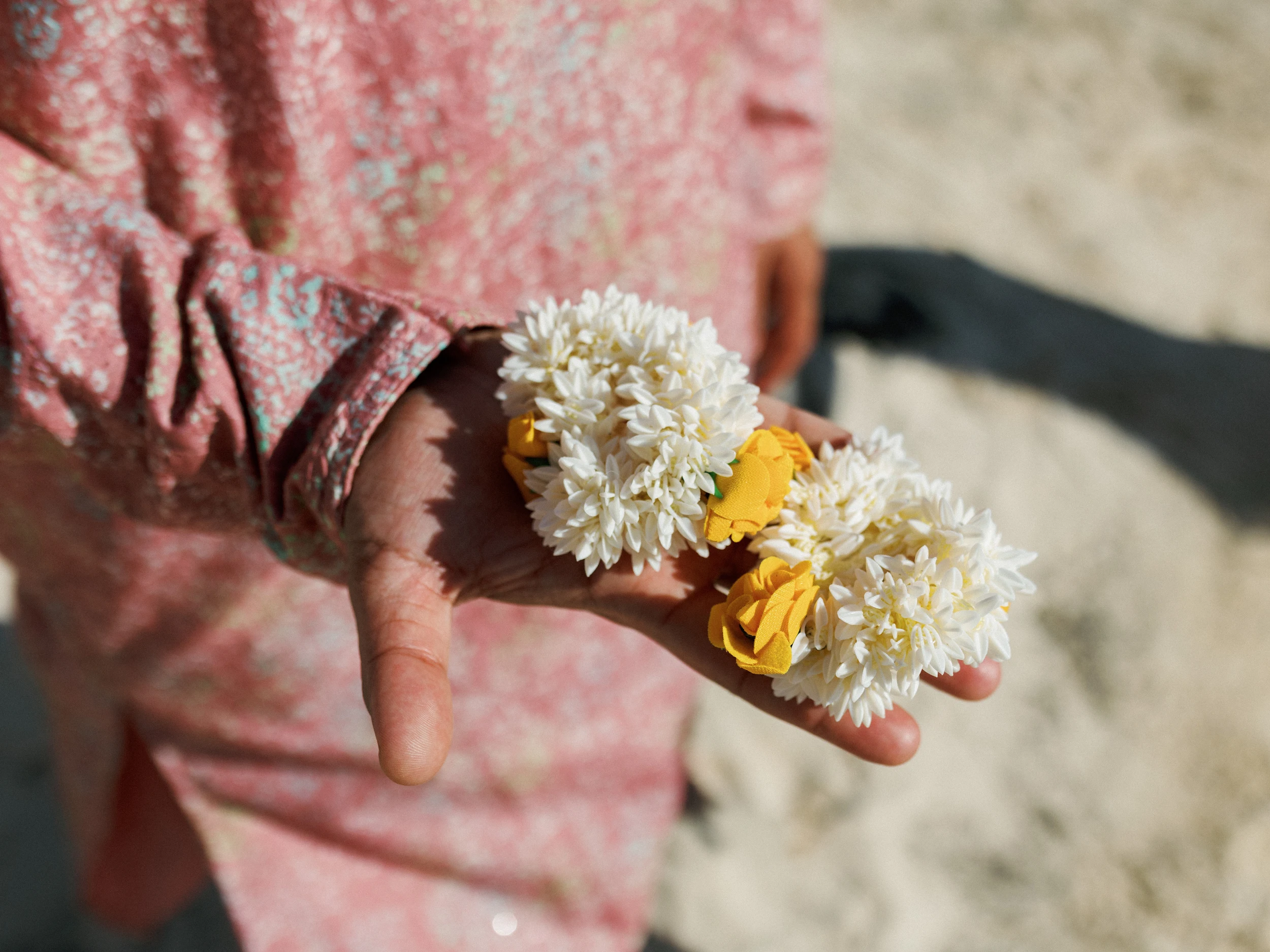 Krishna & Dilan — Wedding