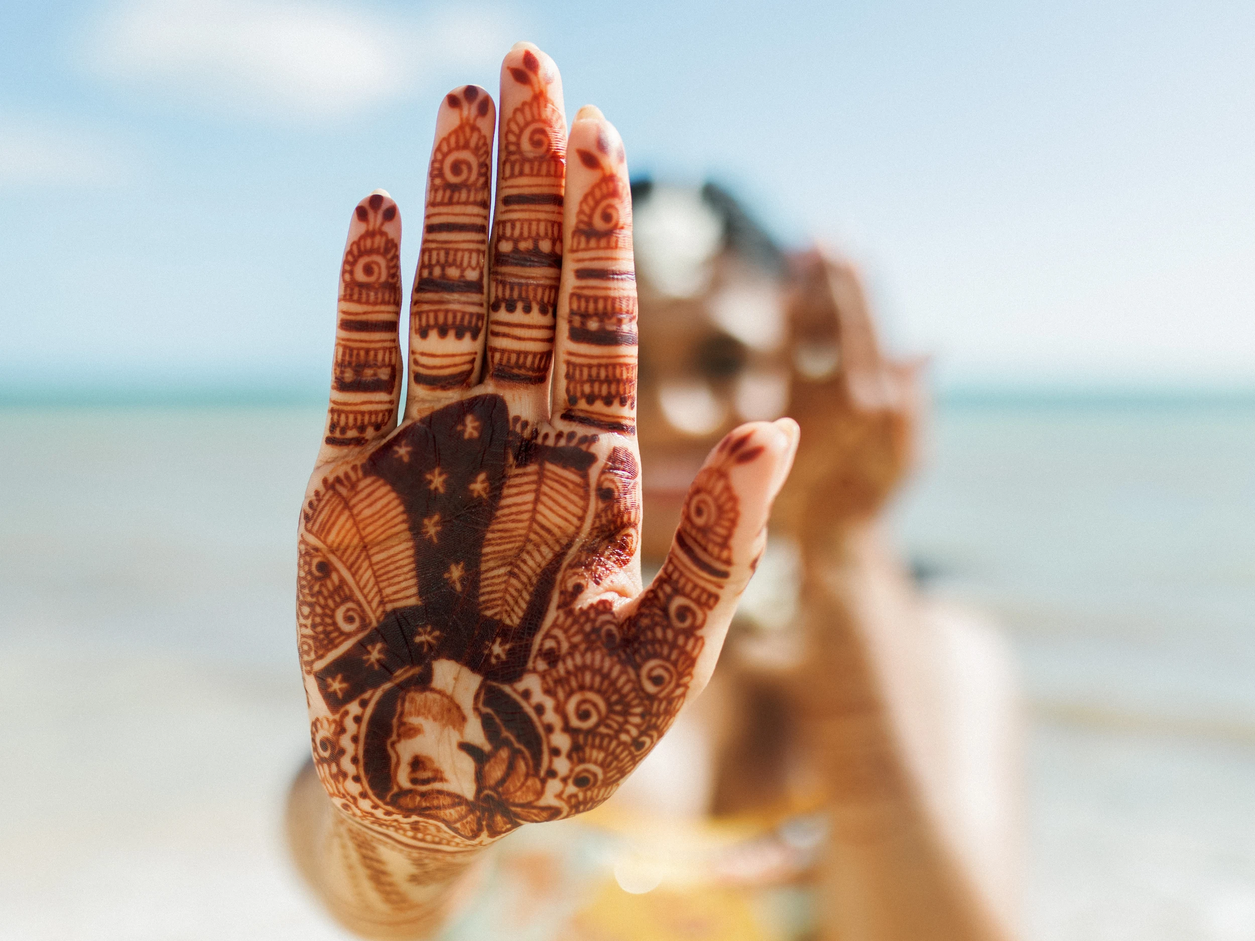 Krishna & Dilan — Wedding