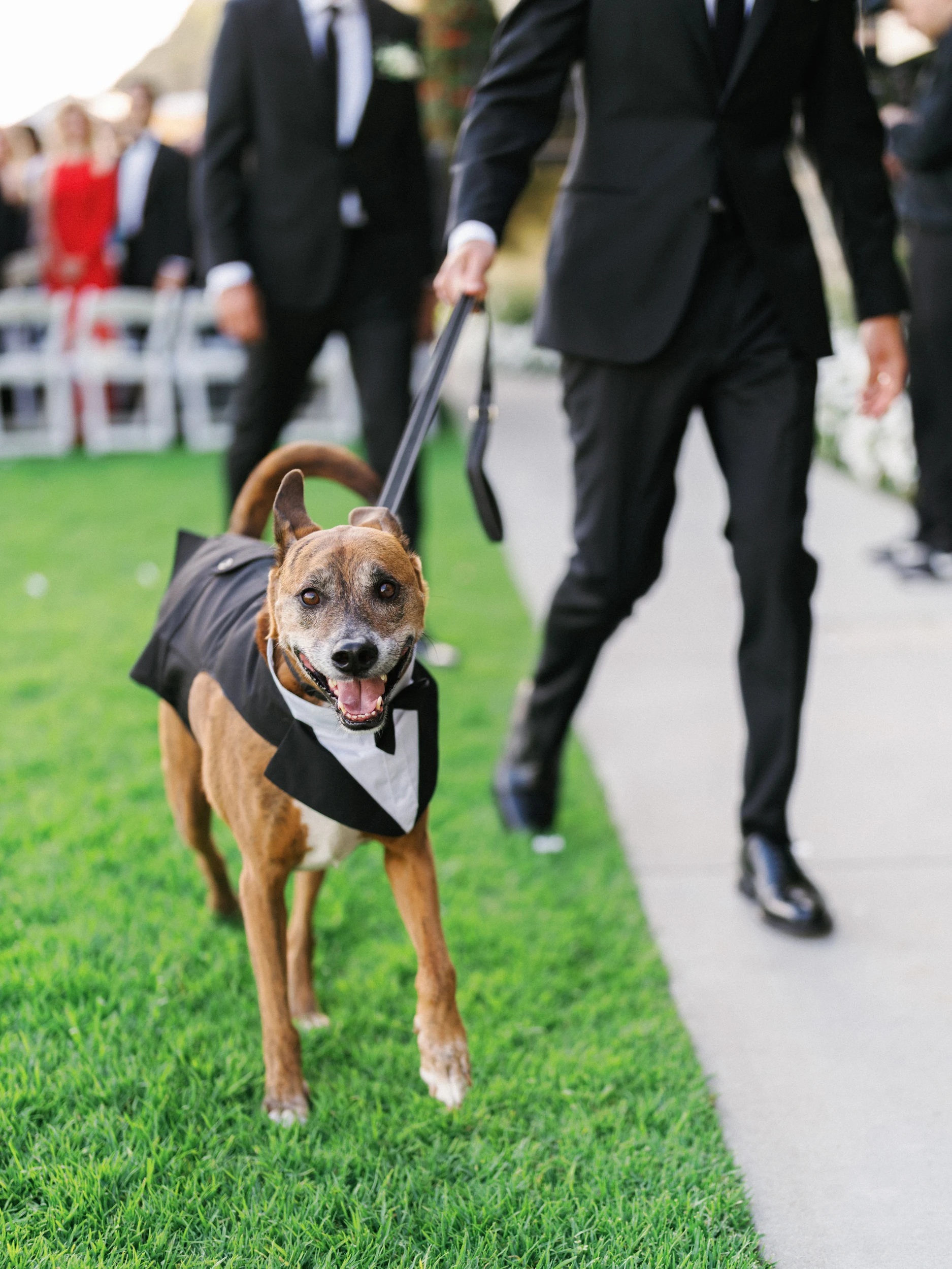Howard & Lisa — Wedding