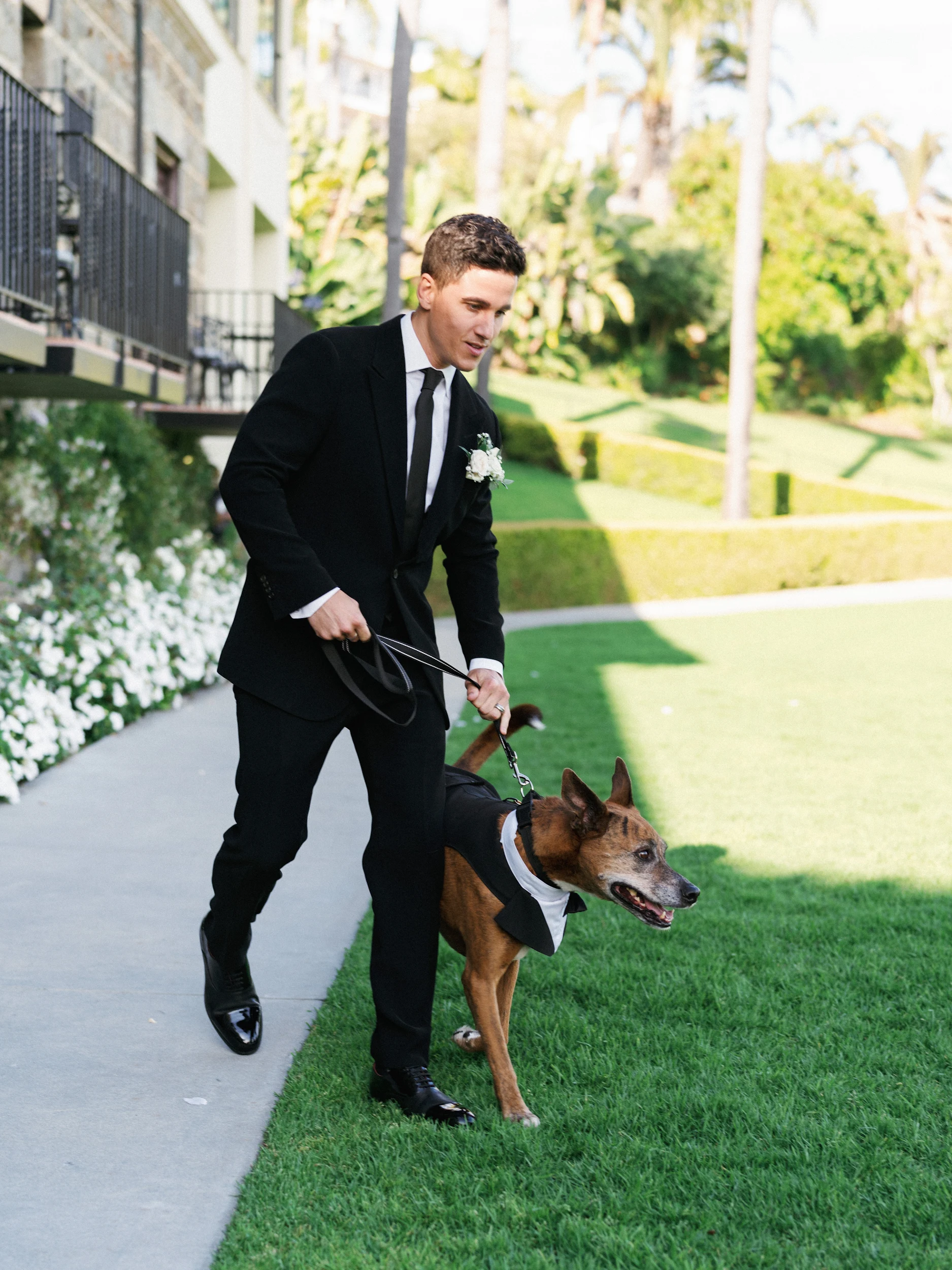 Howard & Lisa — Wedding