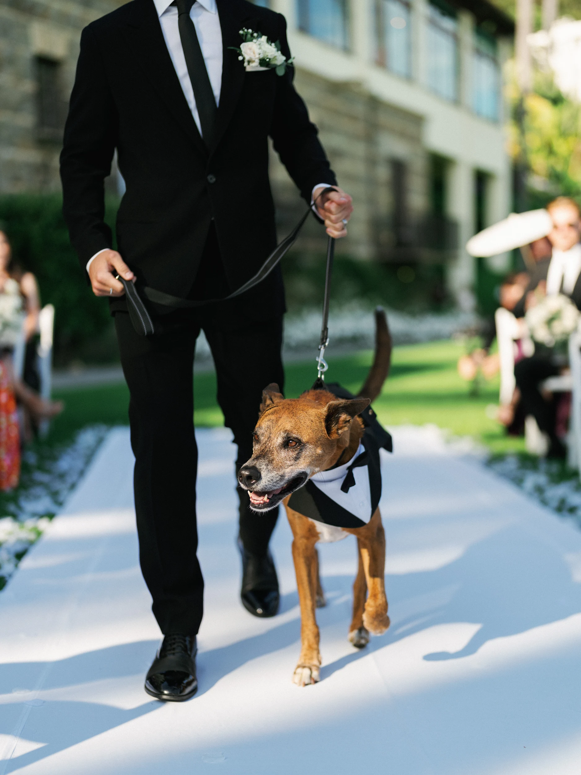 Howard & Lisa — Wedding
