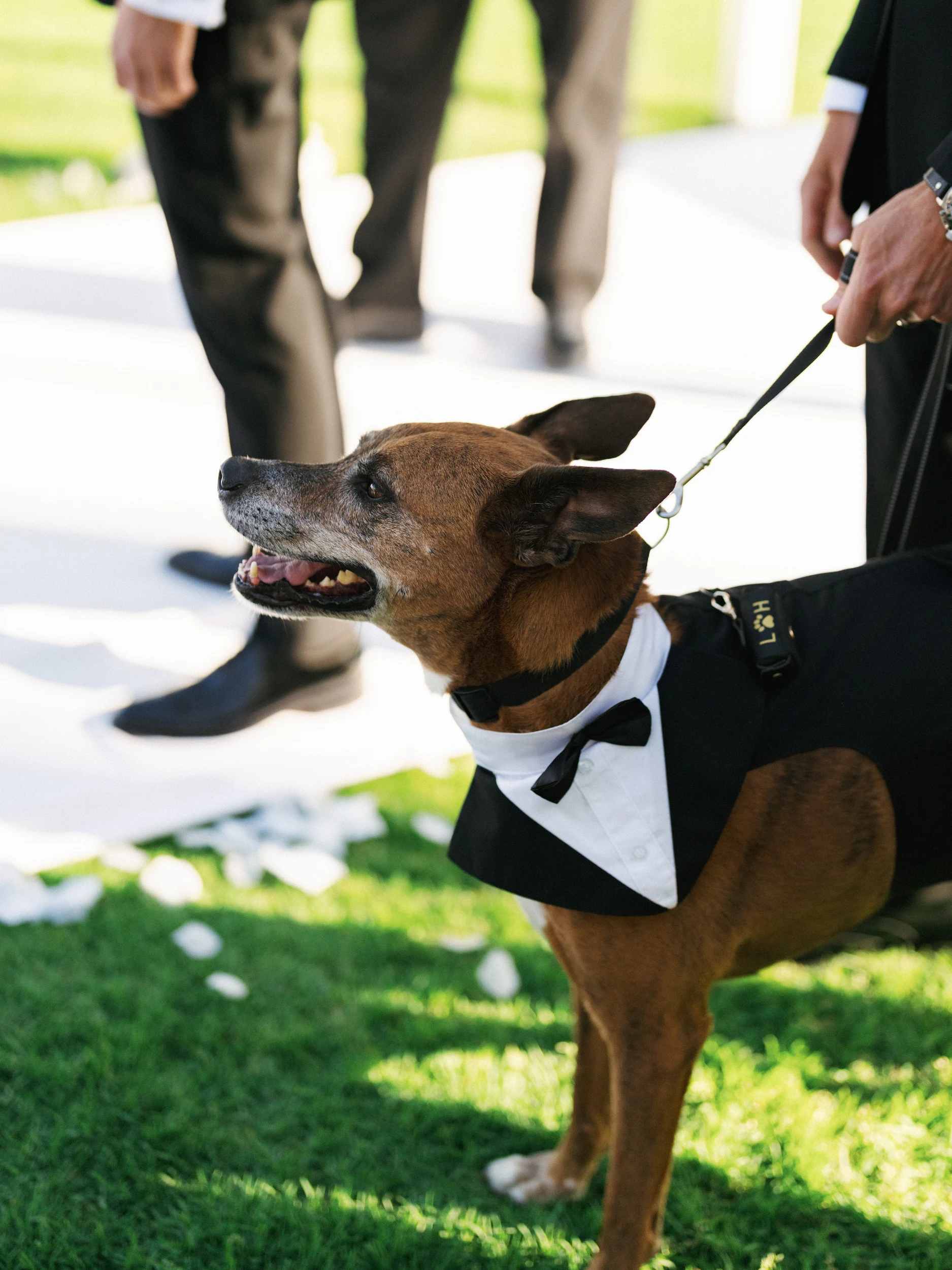Howard & Lisa — Wedding