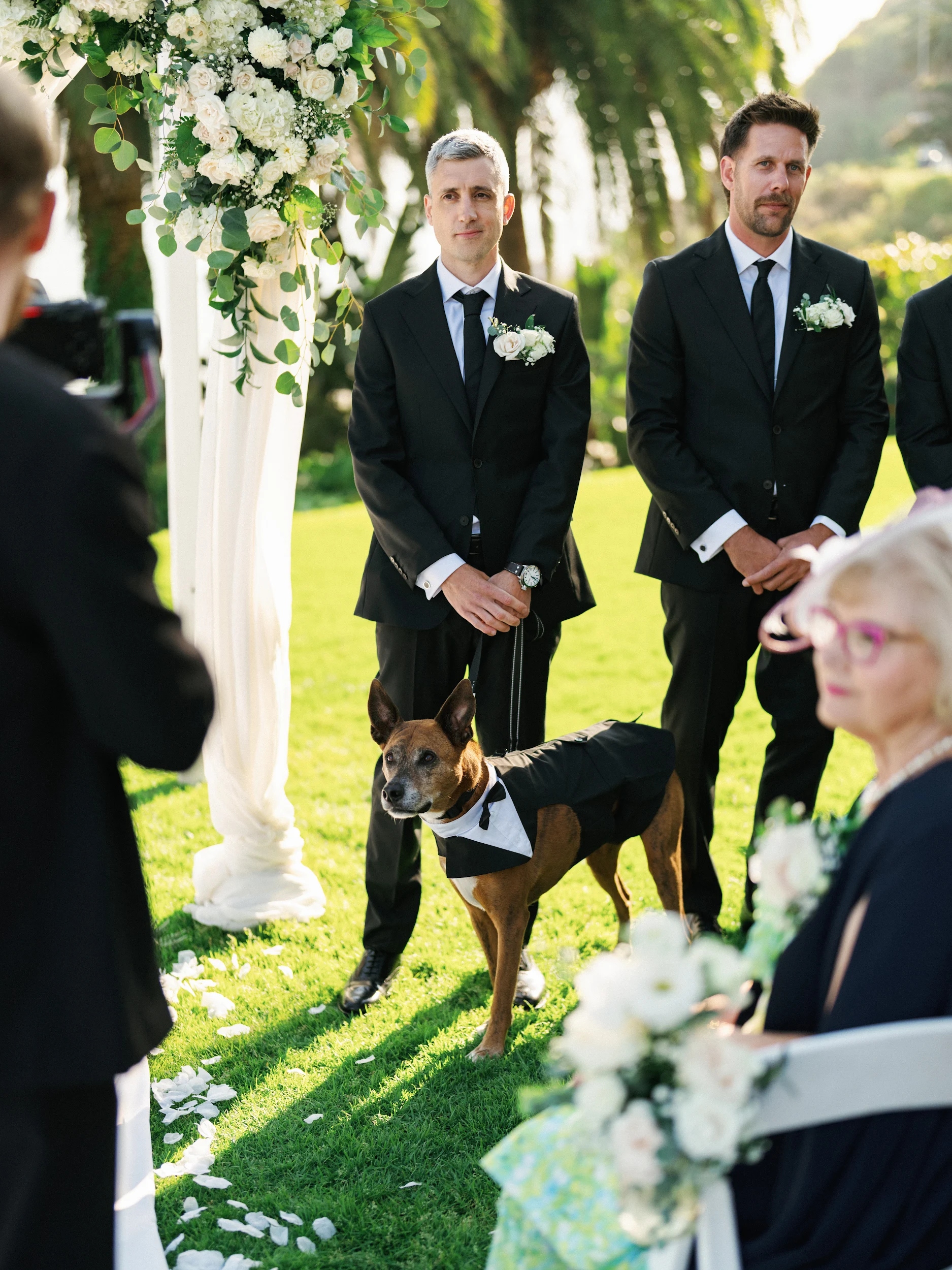 Howard & Lisa — Wedding