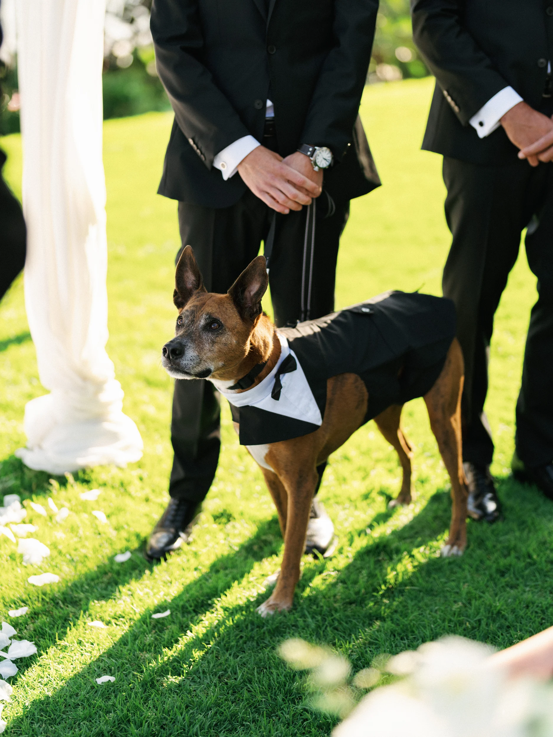 Howard & Lisa — Wedding
