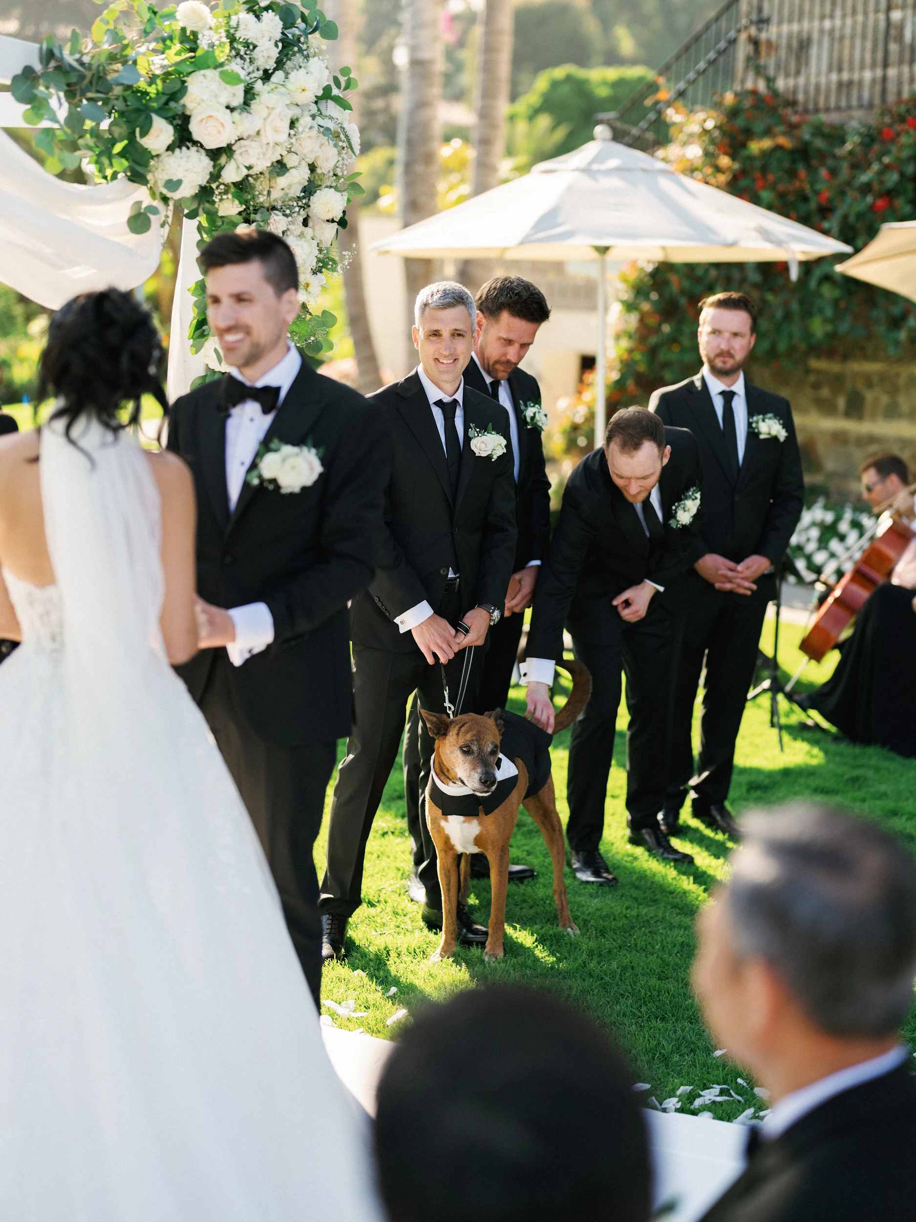 Howard & Lisa — Wedding