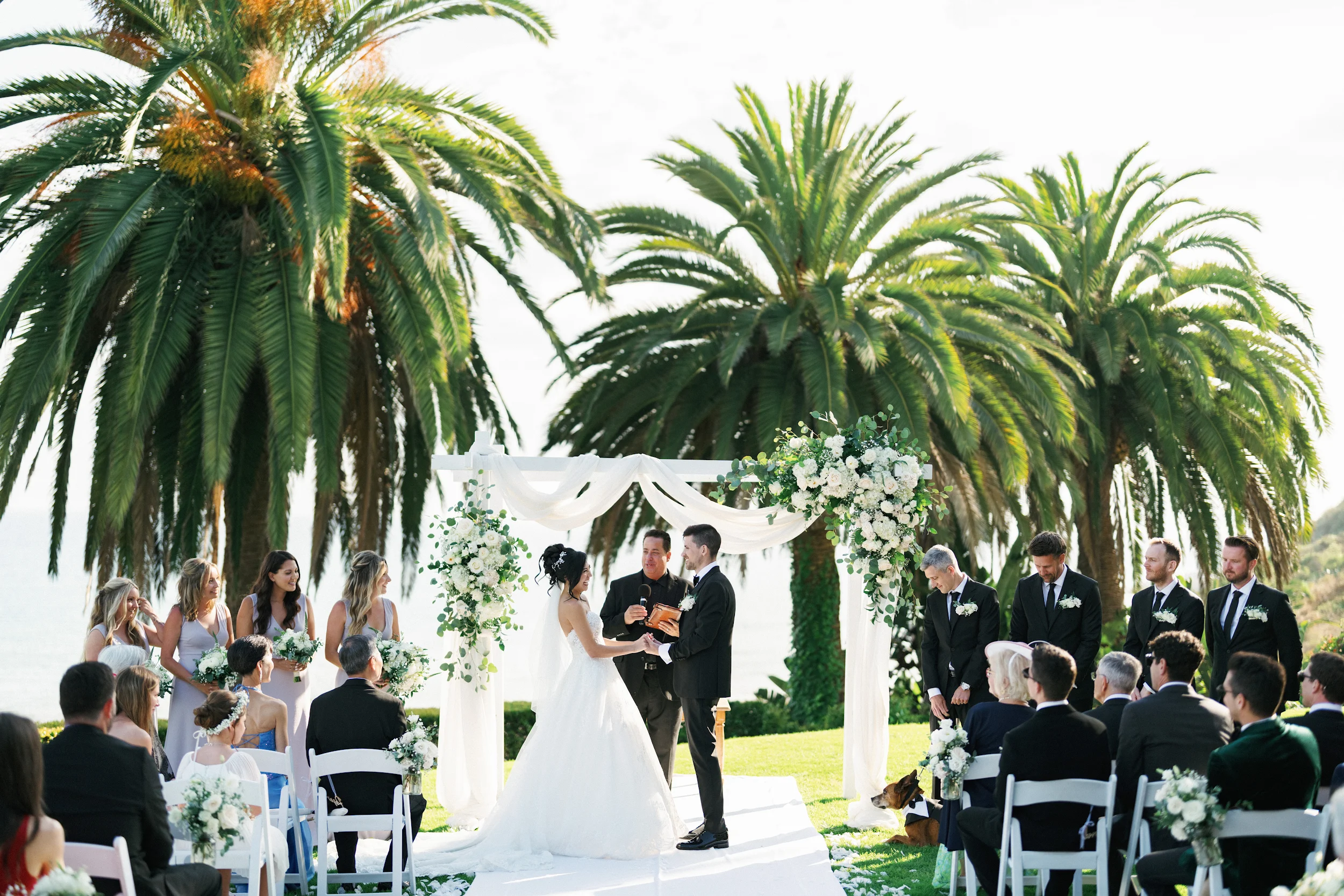 Howard & Lisa — Wedding