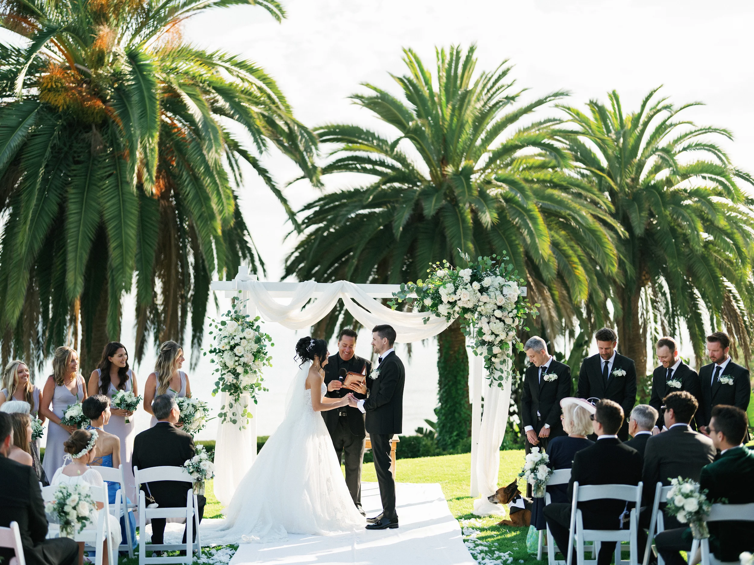 Howard & Lisa — Wedding